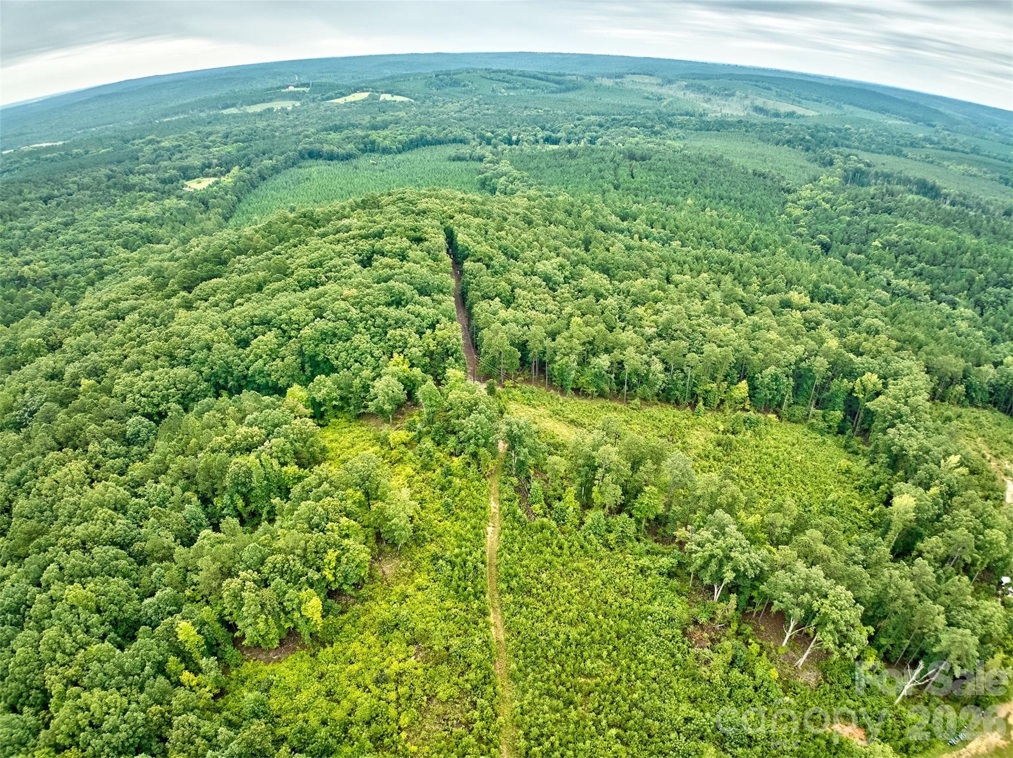 Acreage at 21 US Highway 21 Highway, Ridgeway, photo 18 of 23
