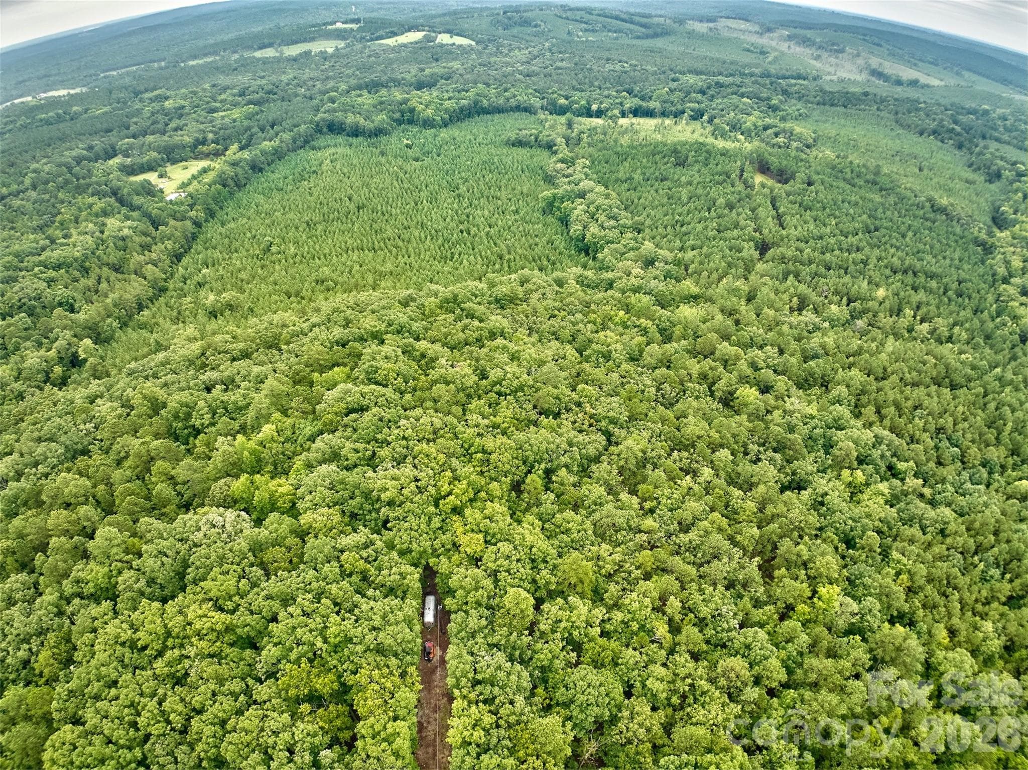 Acreage at 21 US Highway 21 Highway, Ridgeway, photo 19 of 23