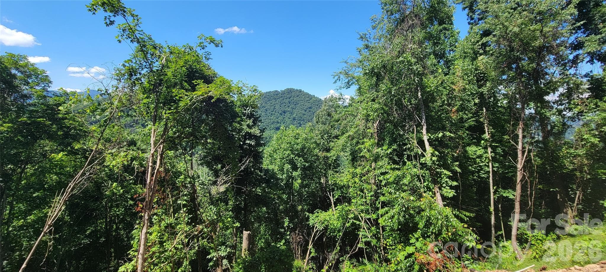 Pretty mtn views with tree trimming/cutting when buyer grades lot - 35 Destination Drive, Waynesville