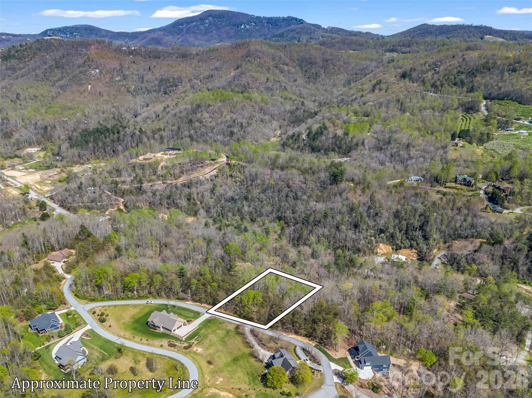 Lot at Hendersonville, photo 2 of 43