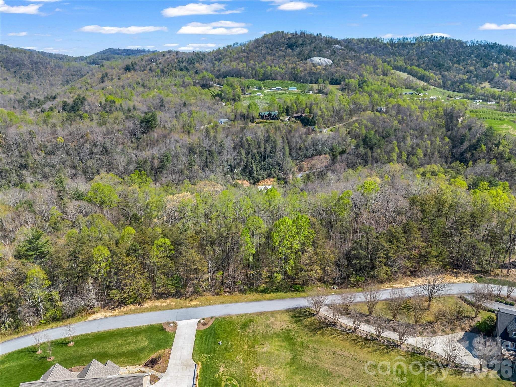 Lot at Hendersonville, photo 5 of 43