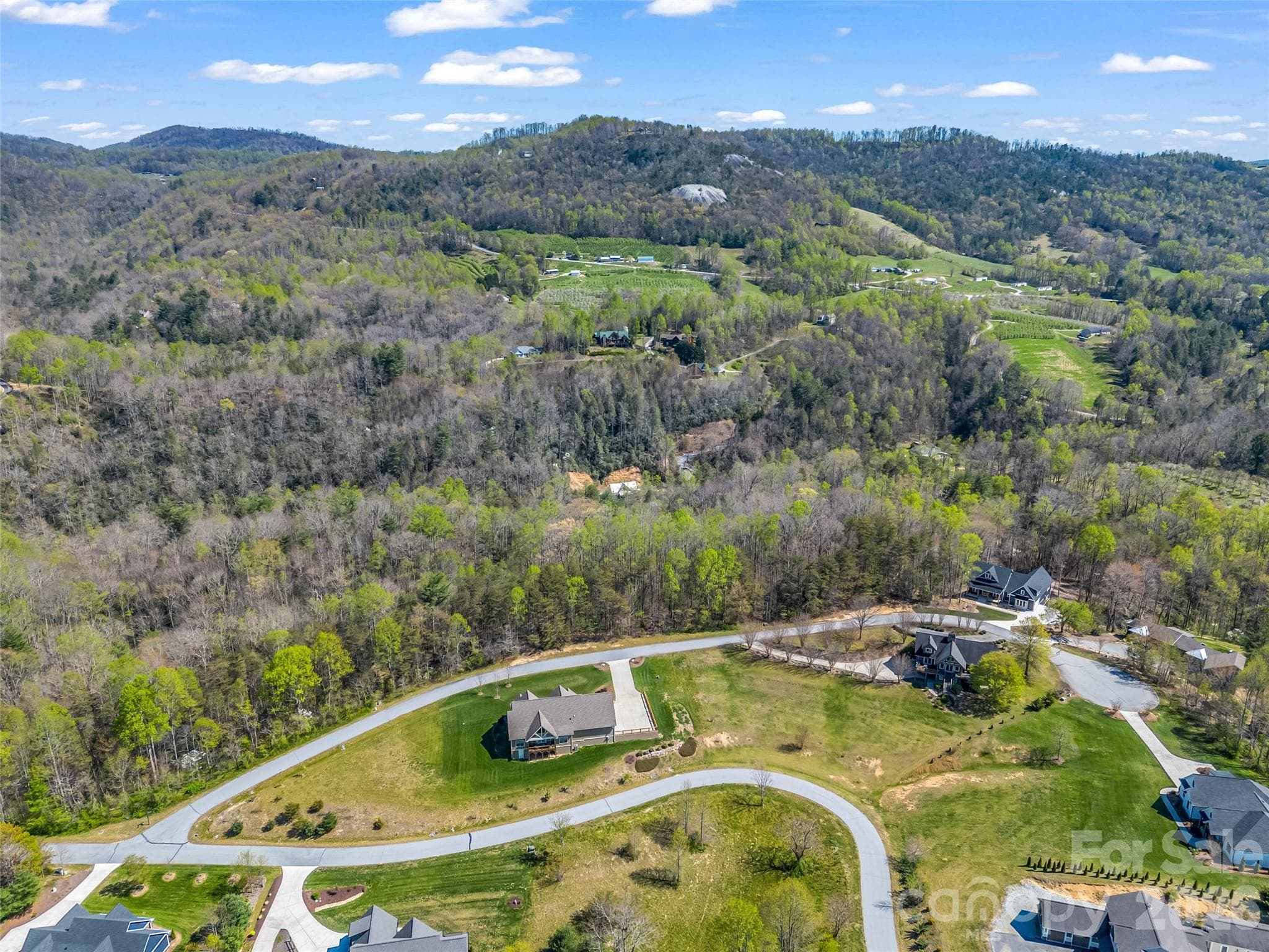 Lot at Hendersonville, photo 6 of 43
