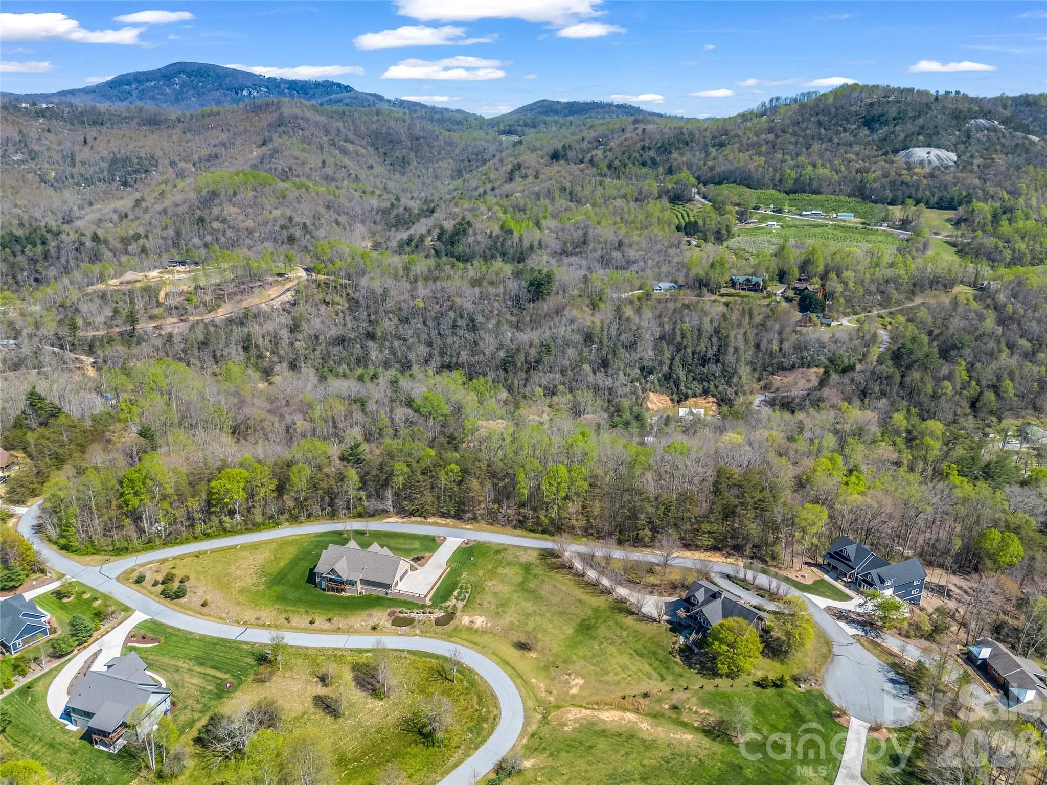 Lot at Hendersonville, photo 7 of 43