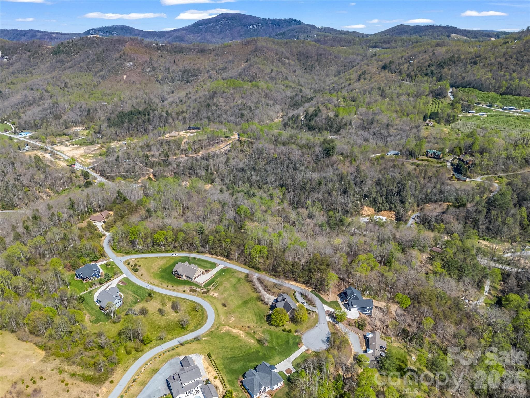Lot at Hendersonville, photo 9 of 43