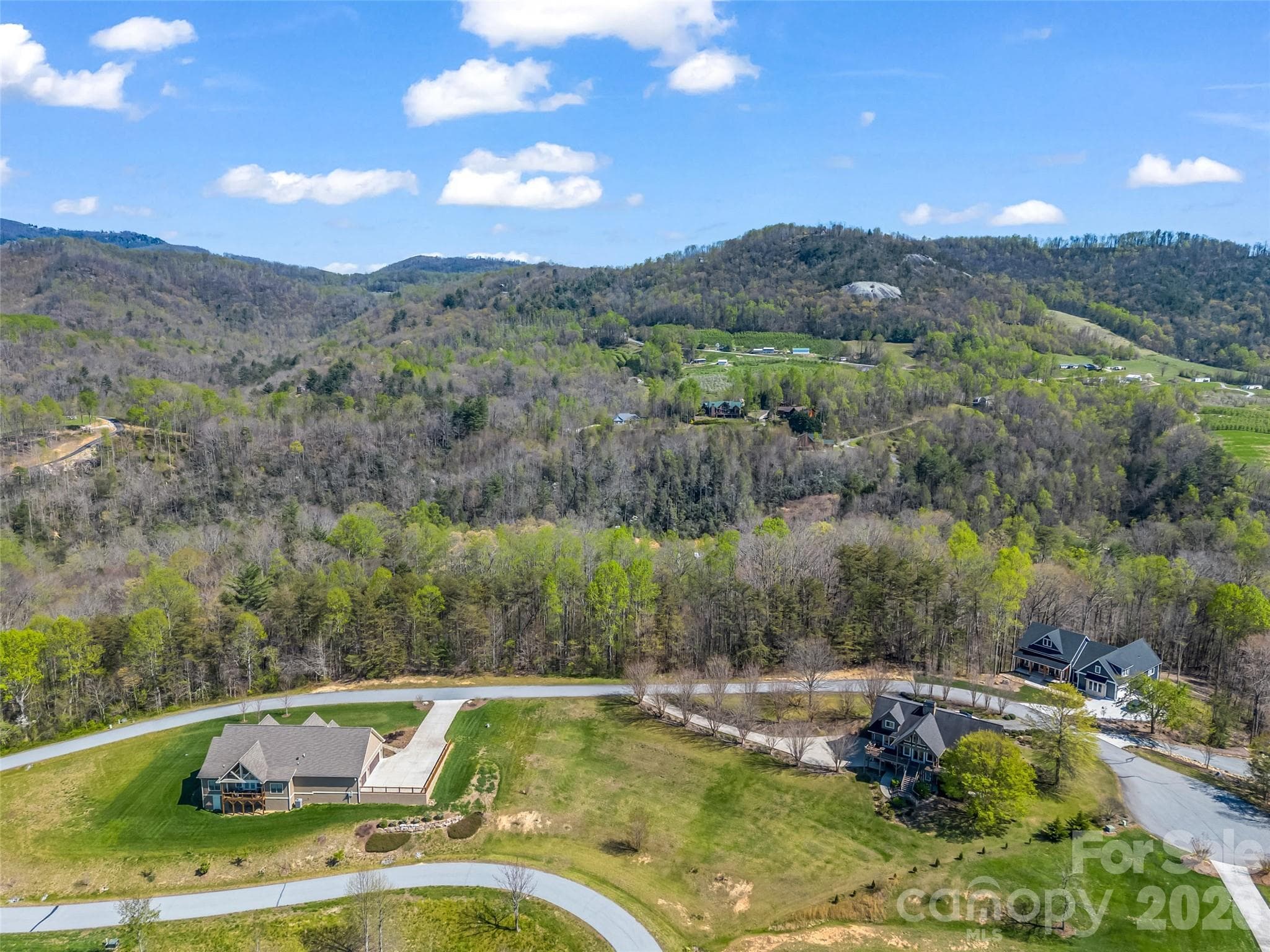 Lot at Hendersonville, photo 21 of 43