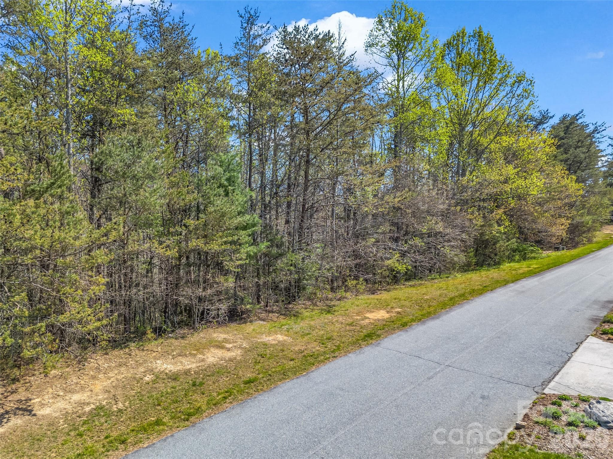 Lot at Hendersonville, photo 26 of 43