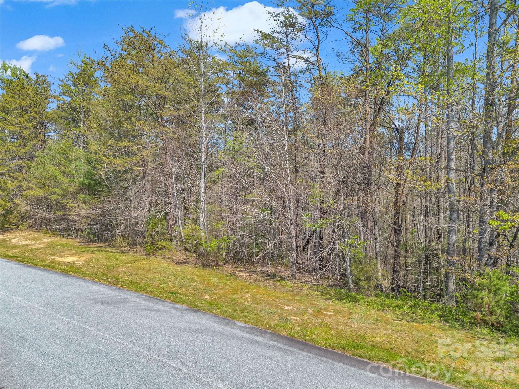Lot at Hendersonville, photo 27 of 43