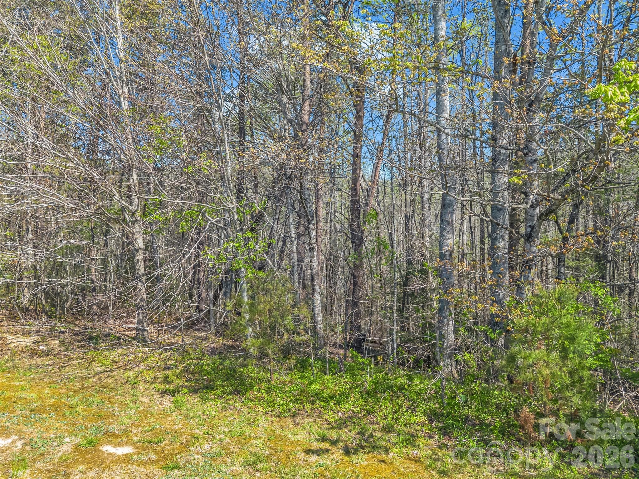 Lot at Hendersonville, photo 28 of 43