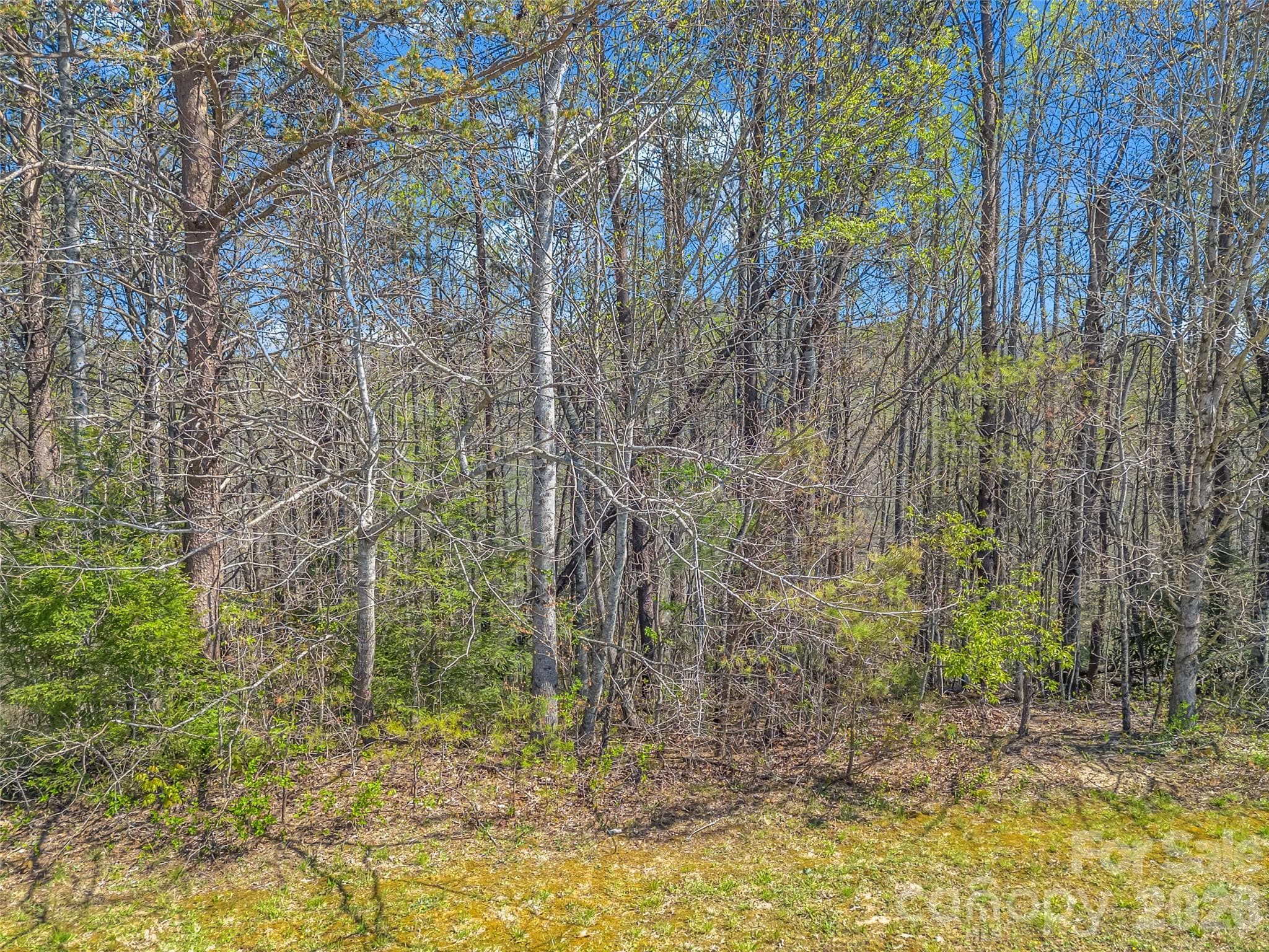 Lot at Hendersonville, photo 29 of 43