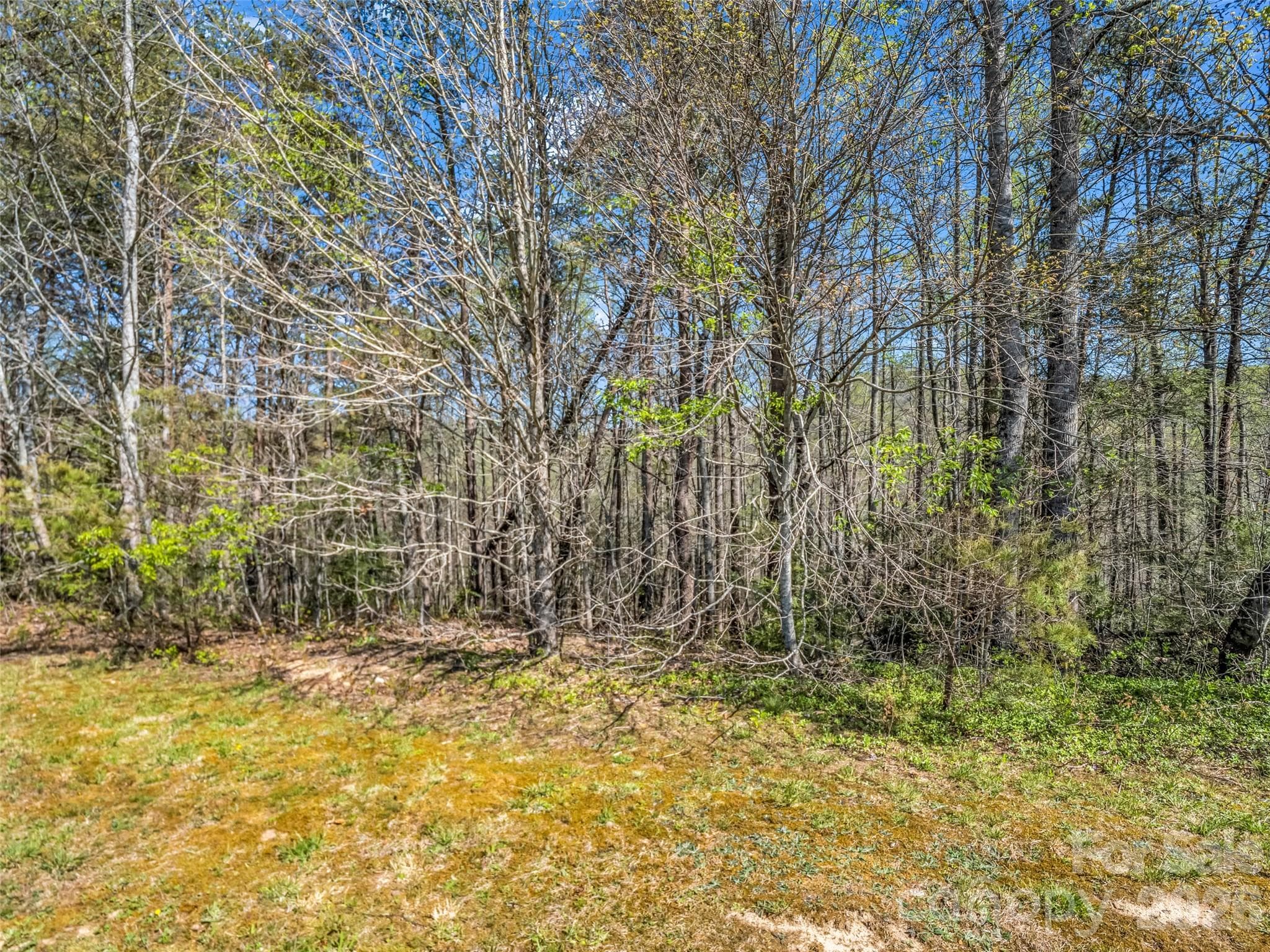 Lot at Hendersonville, photo 30 of 43