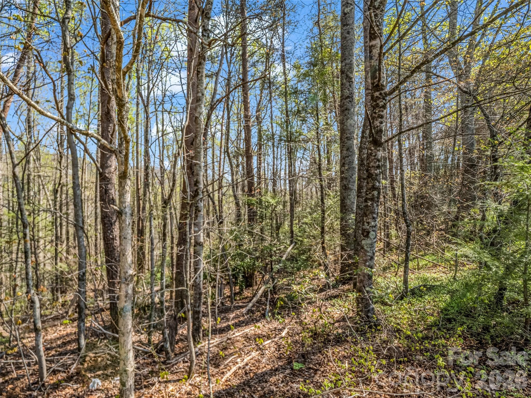 Lot at Hendersonville, photo 32 of 43
