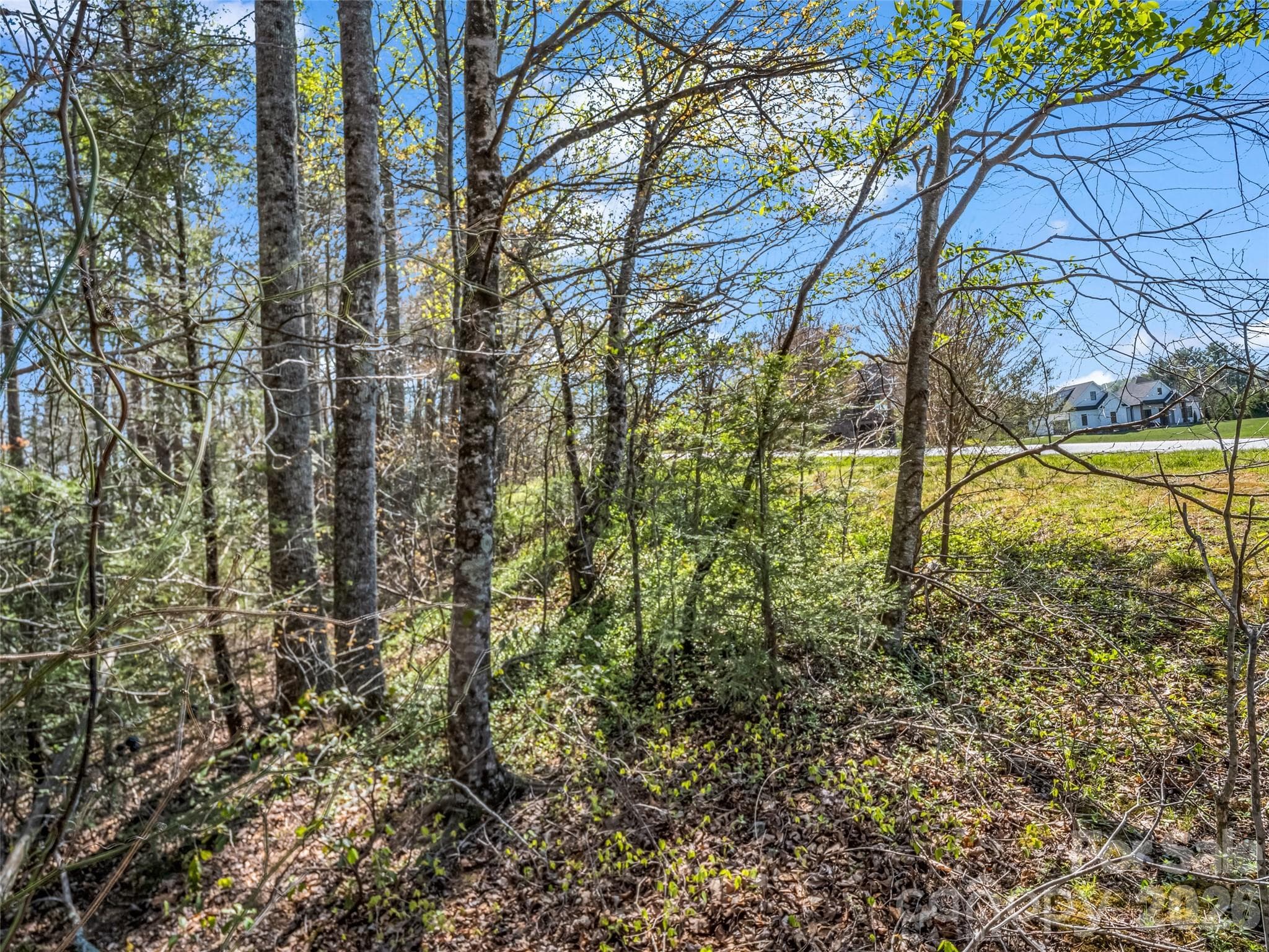 Lot at Hendersonville, photo 34 of 43