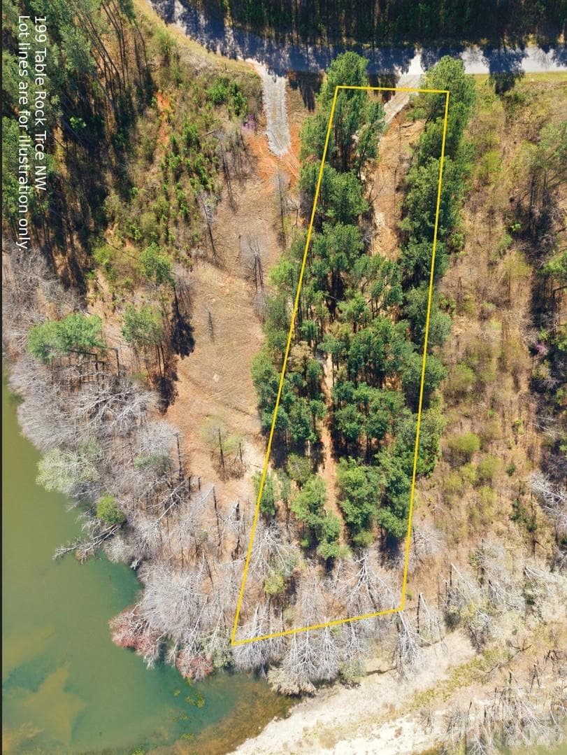 199 Table Rock Trace NW