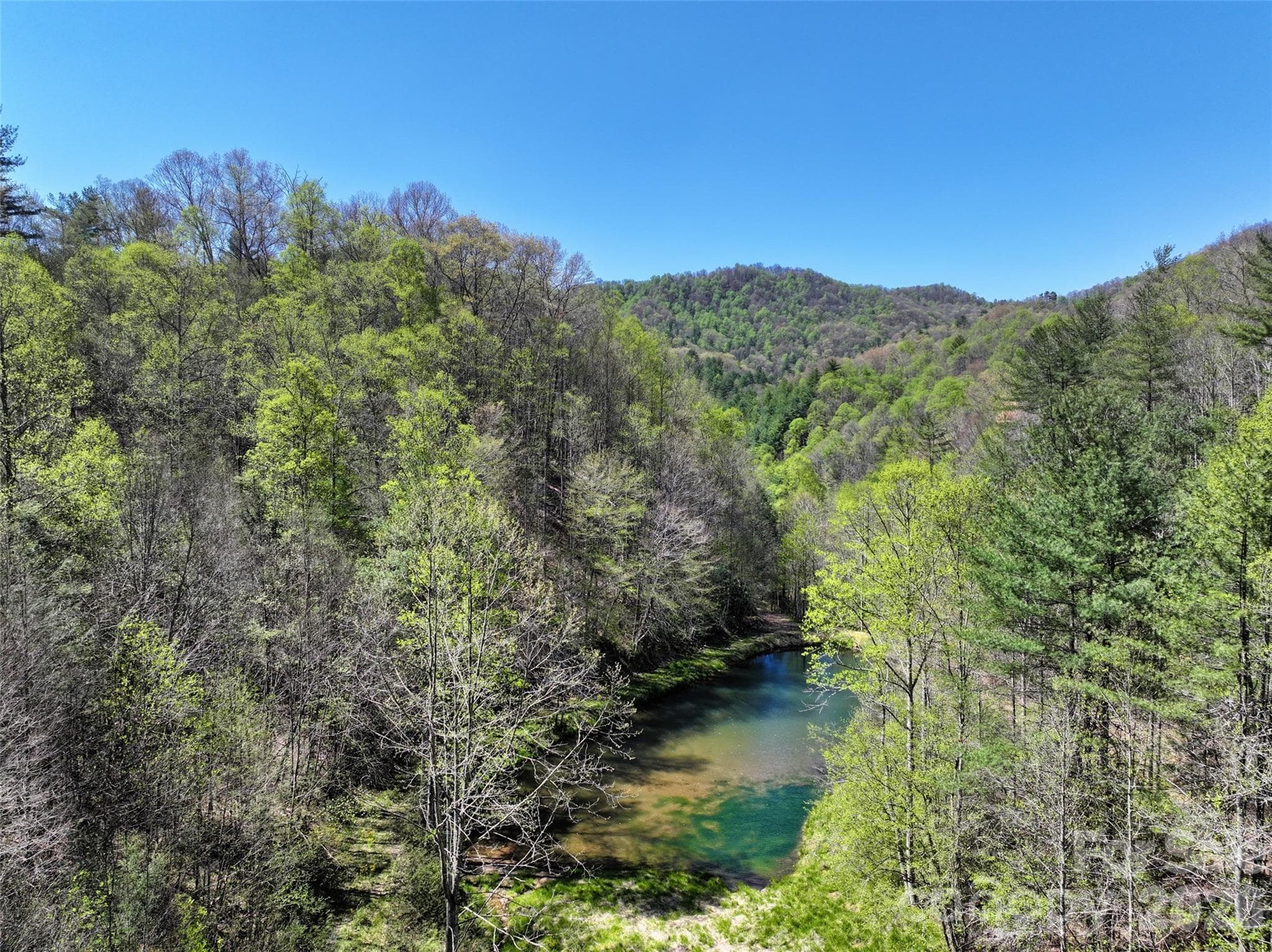Looking down from the hidden meadow to the spring-fed pond - Green Mountain