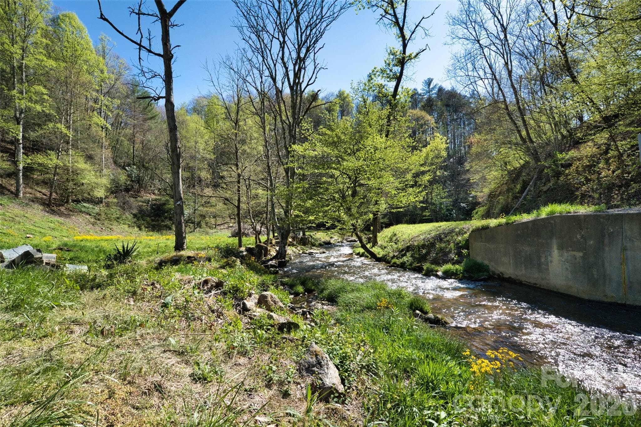 Bold, cheerful Pigeon Roost Creek at the farmhouse - Green Mountain