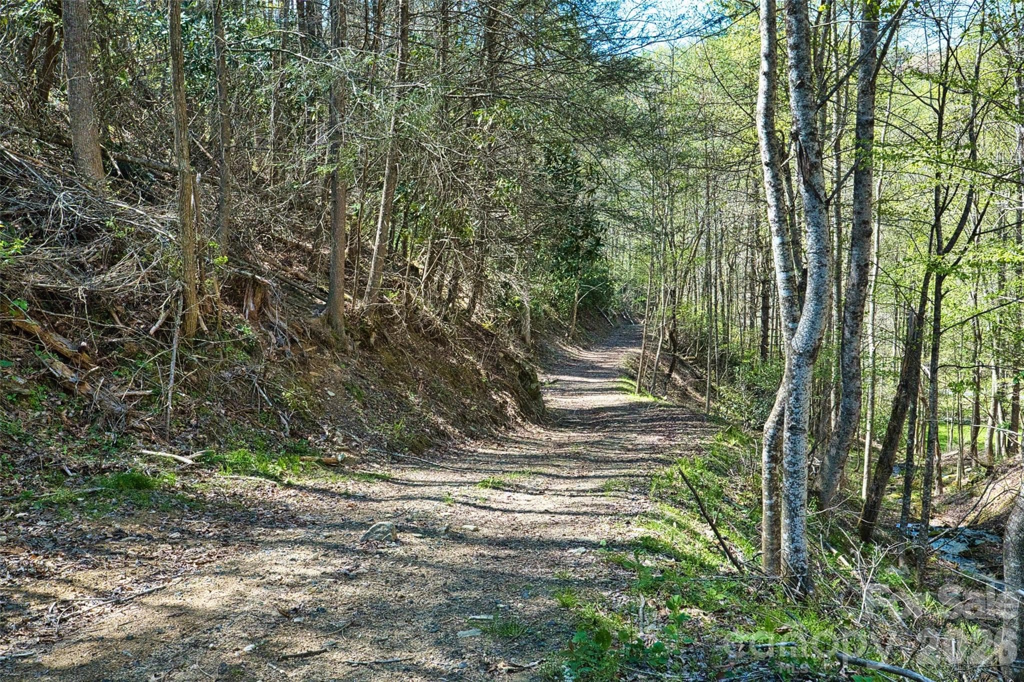 Wide road to the hidden meadow - Green Mountain