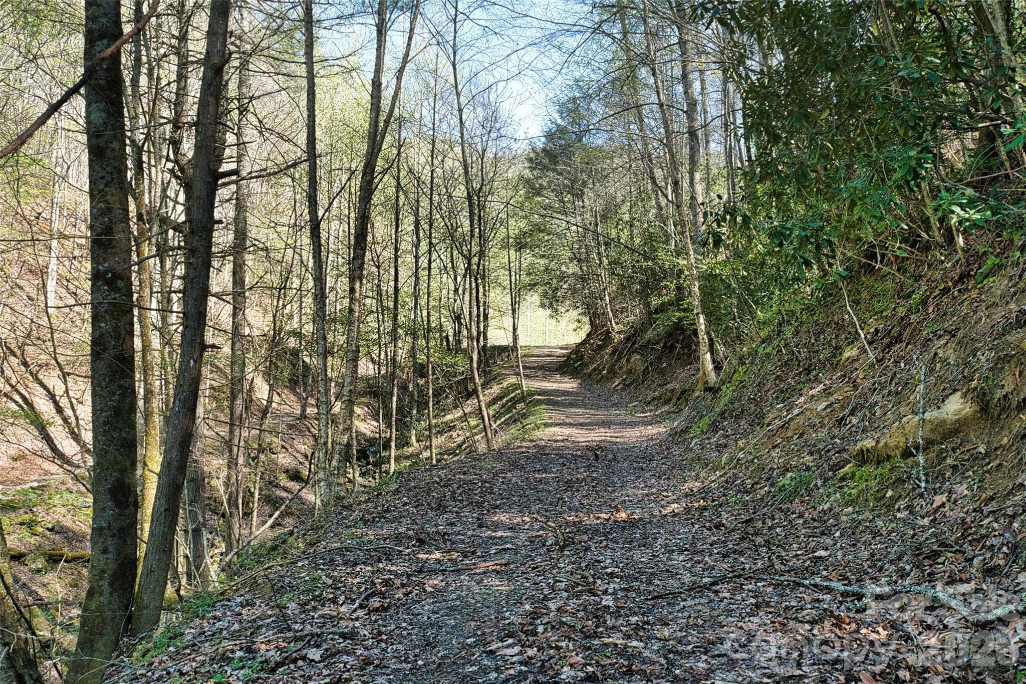 Looking up the wide road to the pond and hidden meadow - Green Mountain