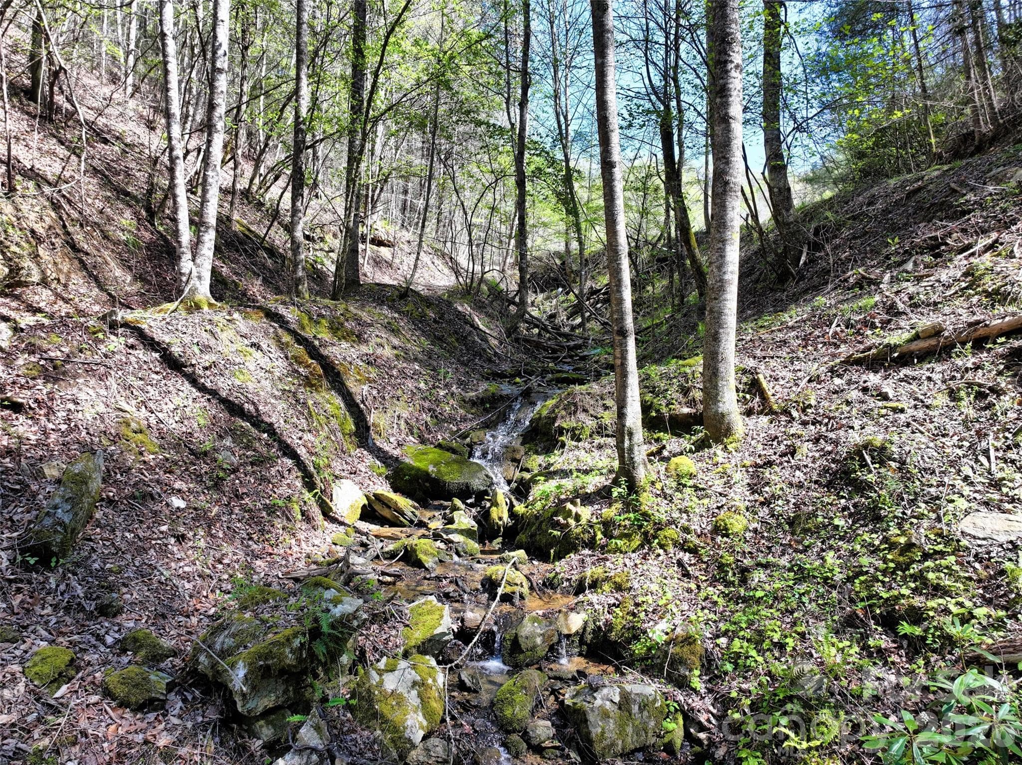 Outflow from the springfed pond - Green Mountain