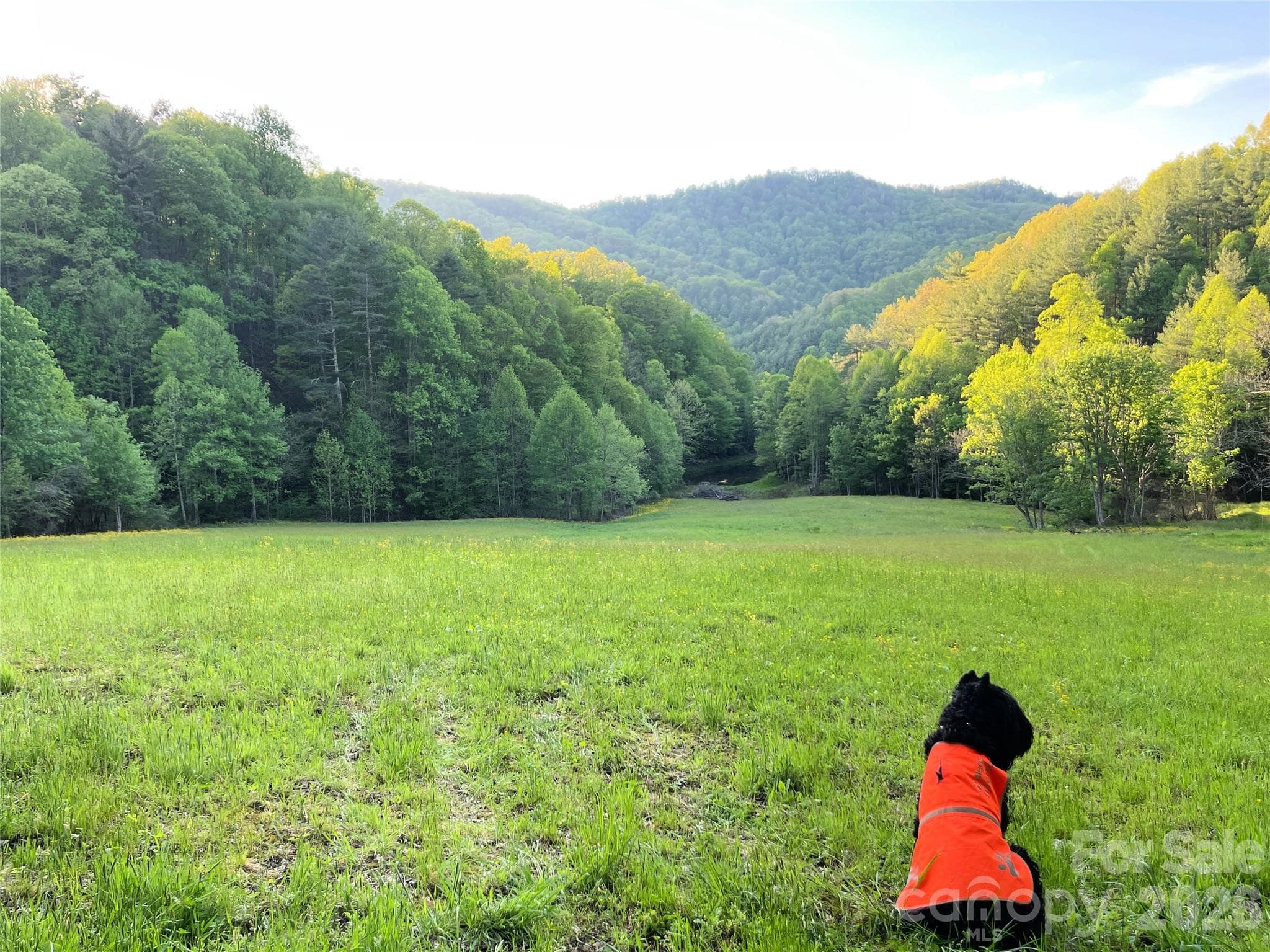 Serenity - Green Mountain