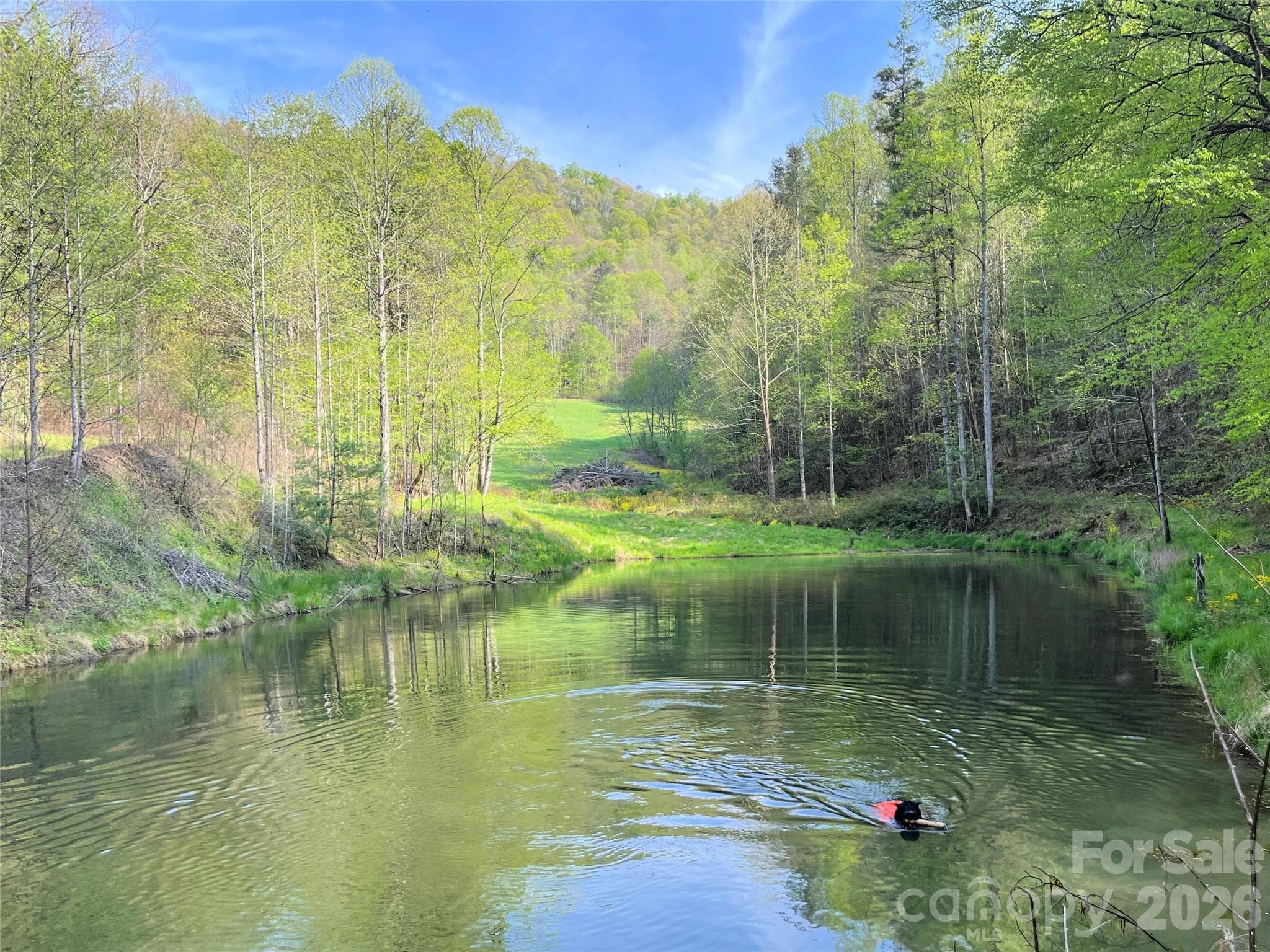 The best place ever for a game of "fetch the stick" - Green Mountain