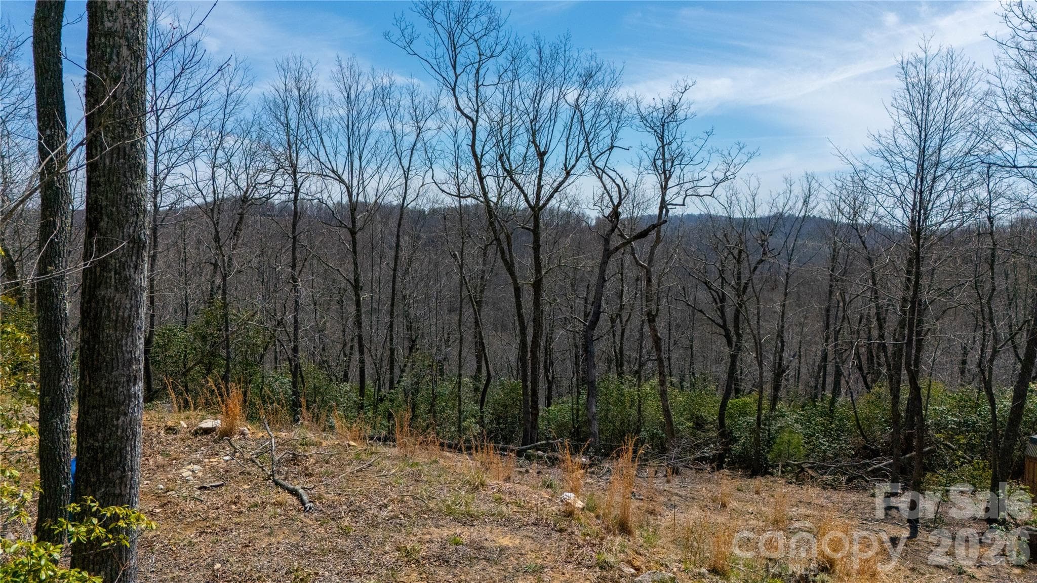 Lot at 000 Walker Ridge, Spruce Pine, photo 4 of 8
