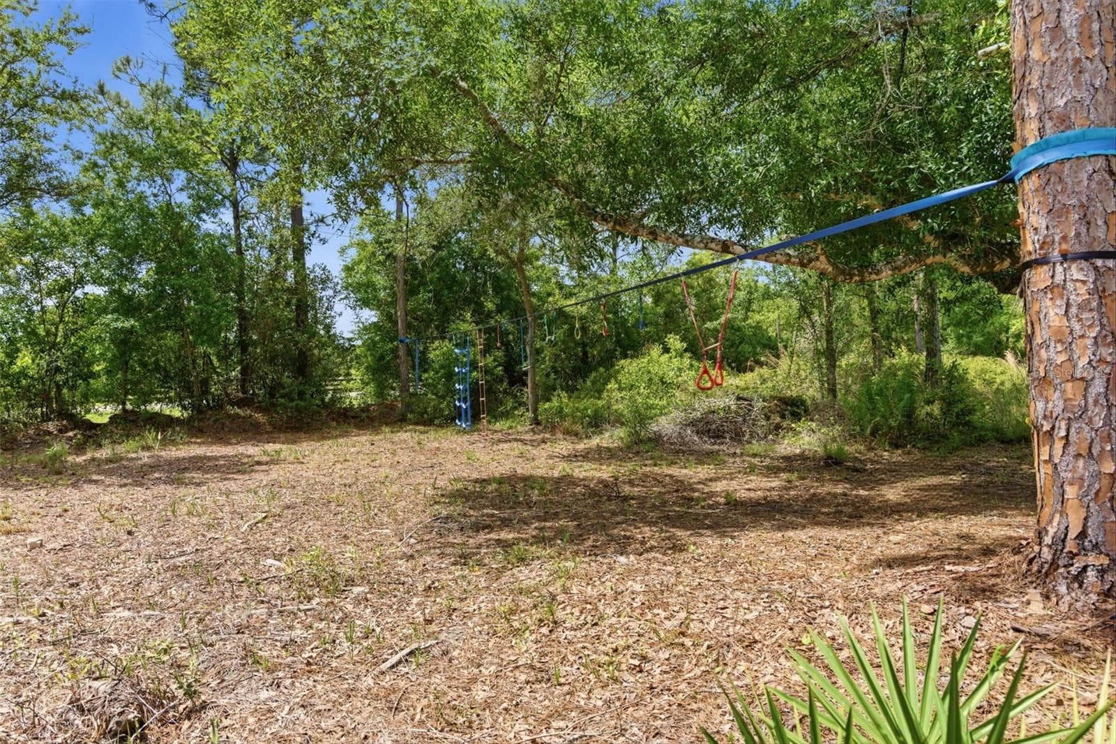 Play Area - 4529 CAESAR AVE, ORLANDO