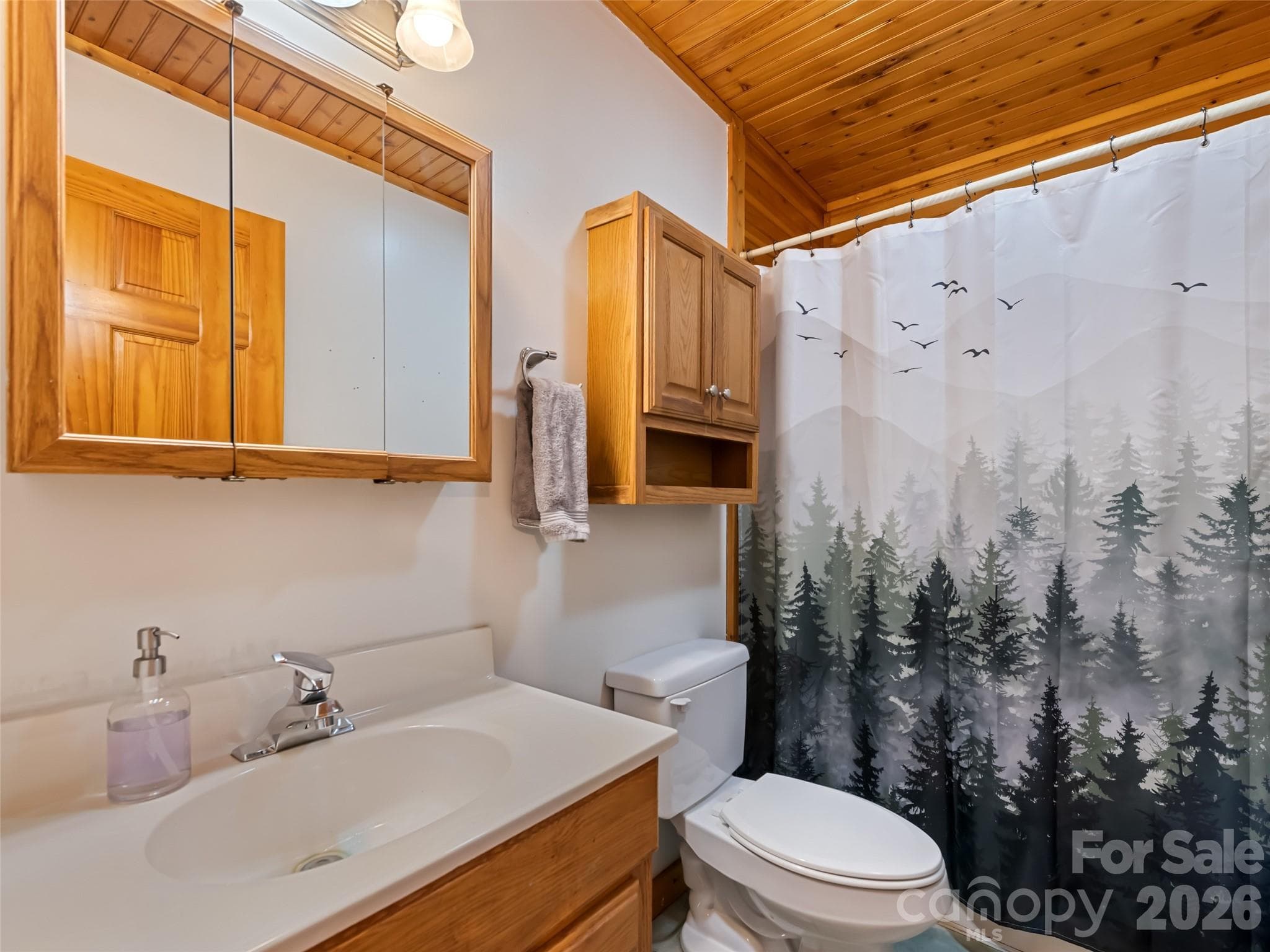 Shared Bathroom - 401 Tipstill Cove, Waynesville