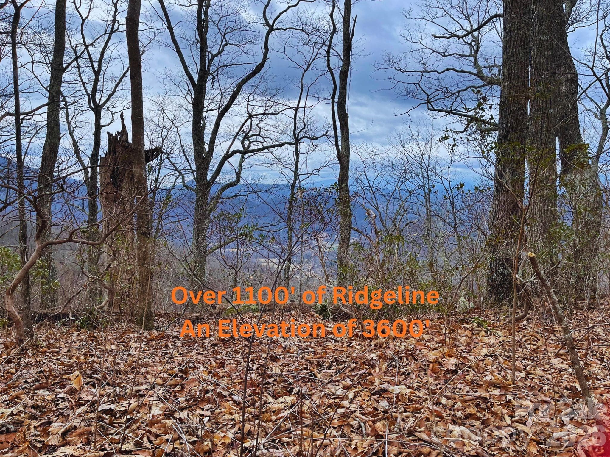 Acreage at Weaverville, photo 4 of 22