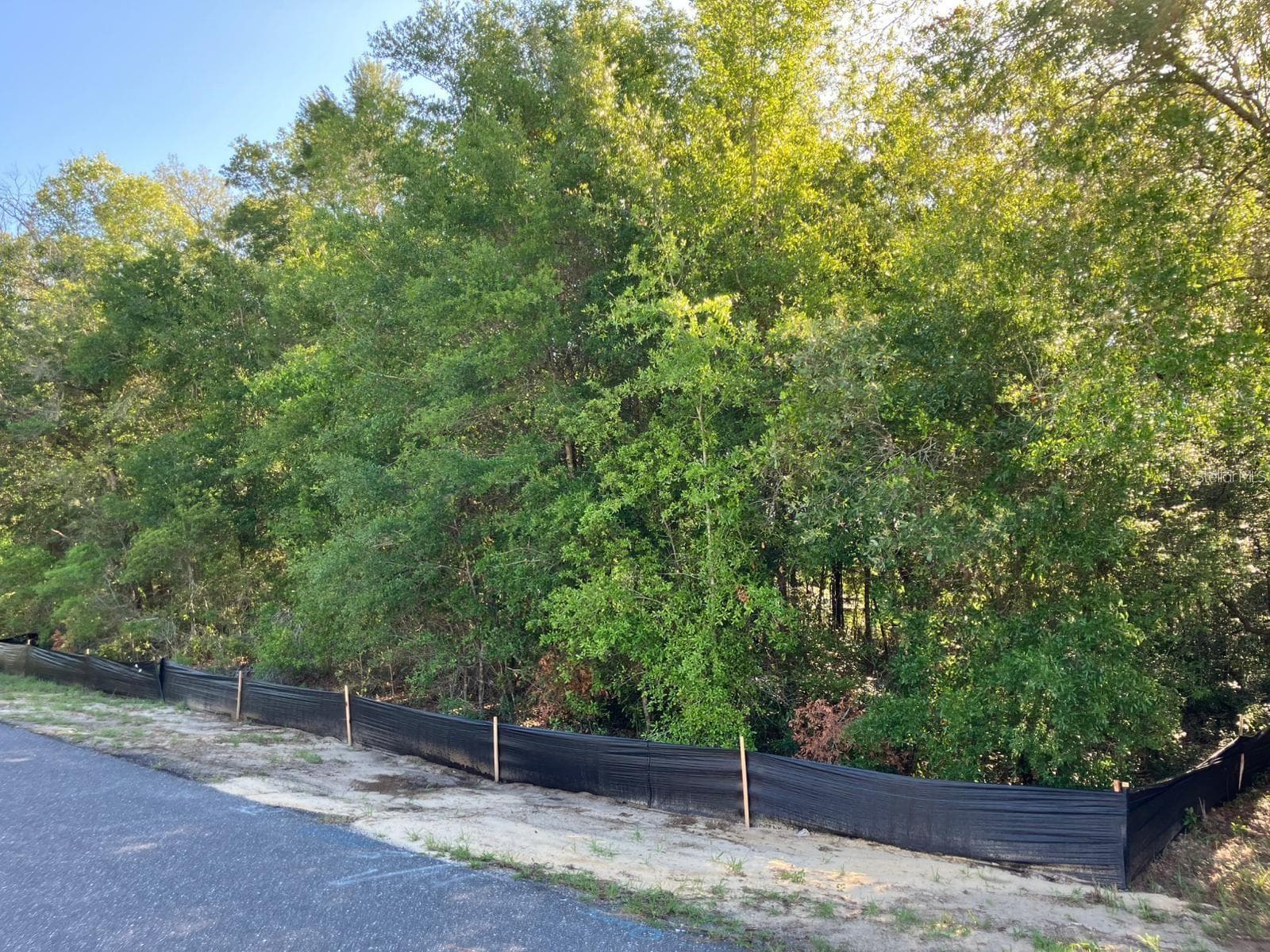 Land at 8227 N GALENA AVE, CITRUS SPRINGS, photo 2 of 3