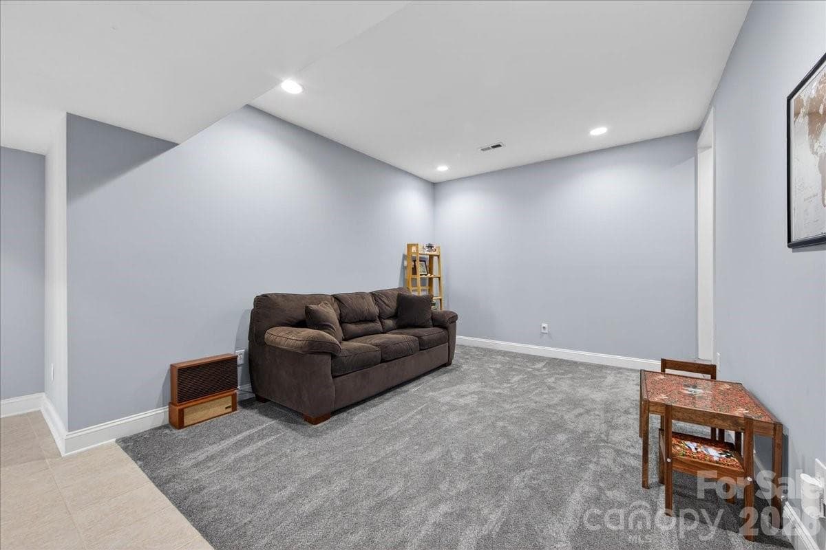 Basement - 12532 Overlook Mountain Drive, Charlotte