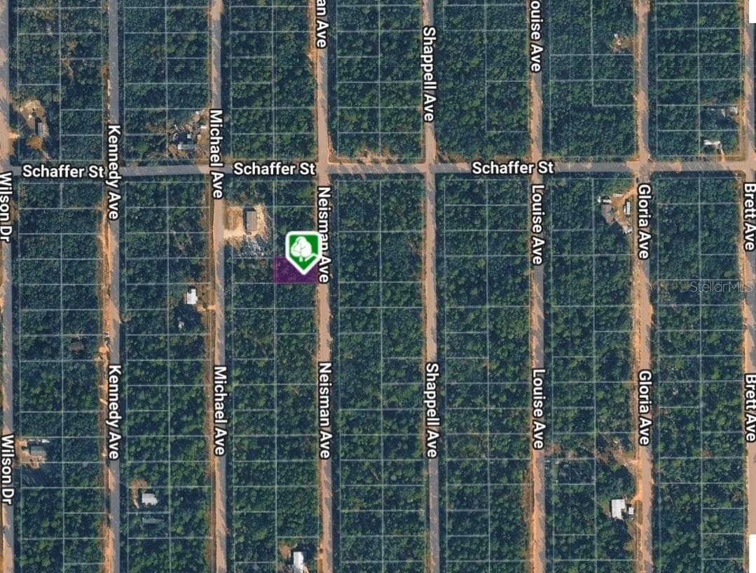 Land at LOT 33 NEISMAN AVE, INTERLACHEN, photo 2 of 3