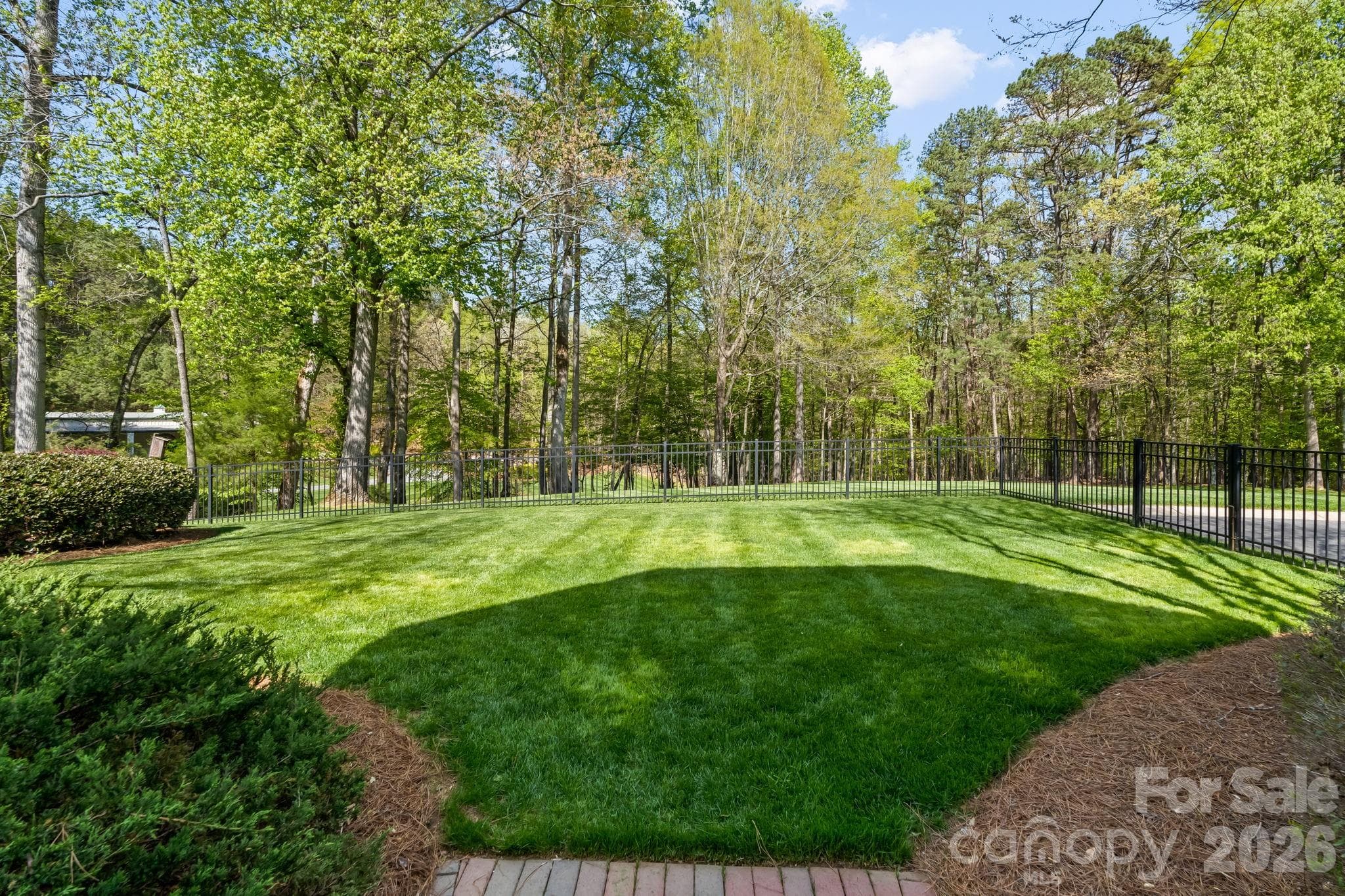 Fenced back yard for furry friends - Lewisville