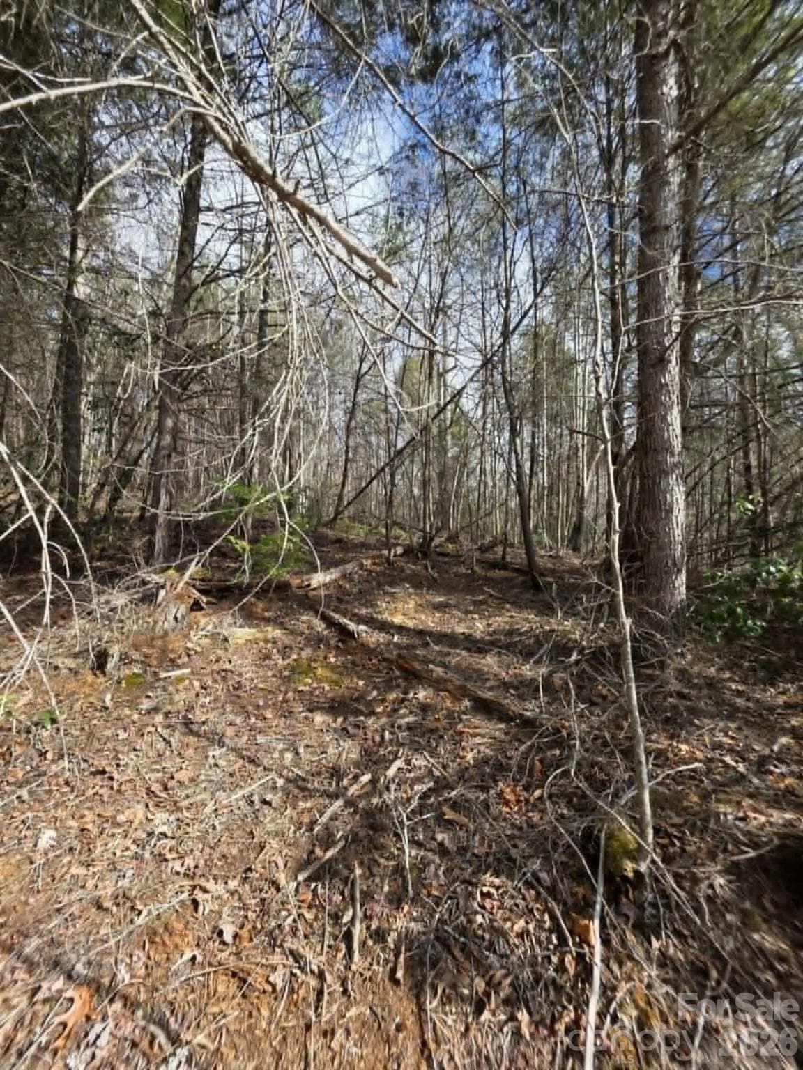 Lot at Lot 7 Kerlee Lane, Old Fort, photo 3 of 4