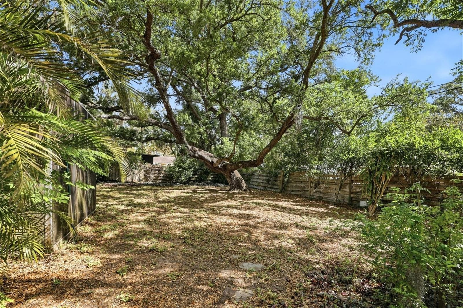 Large shady yard - 4003 BOOTH PL, SARASOTA