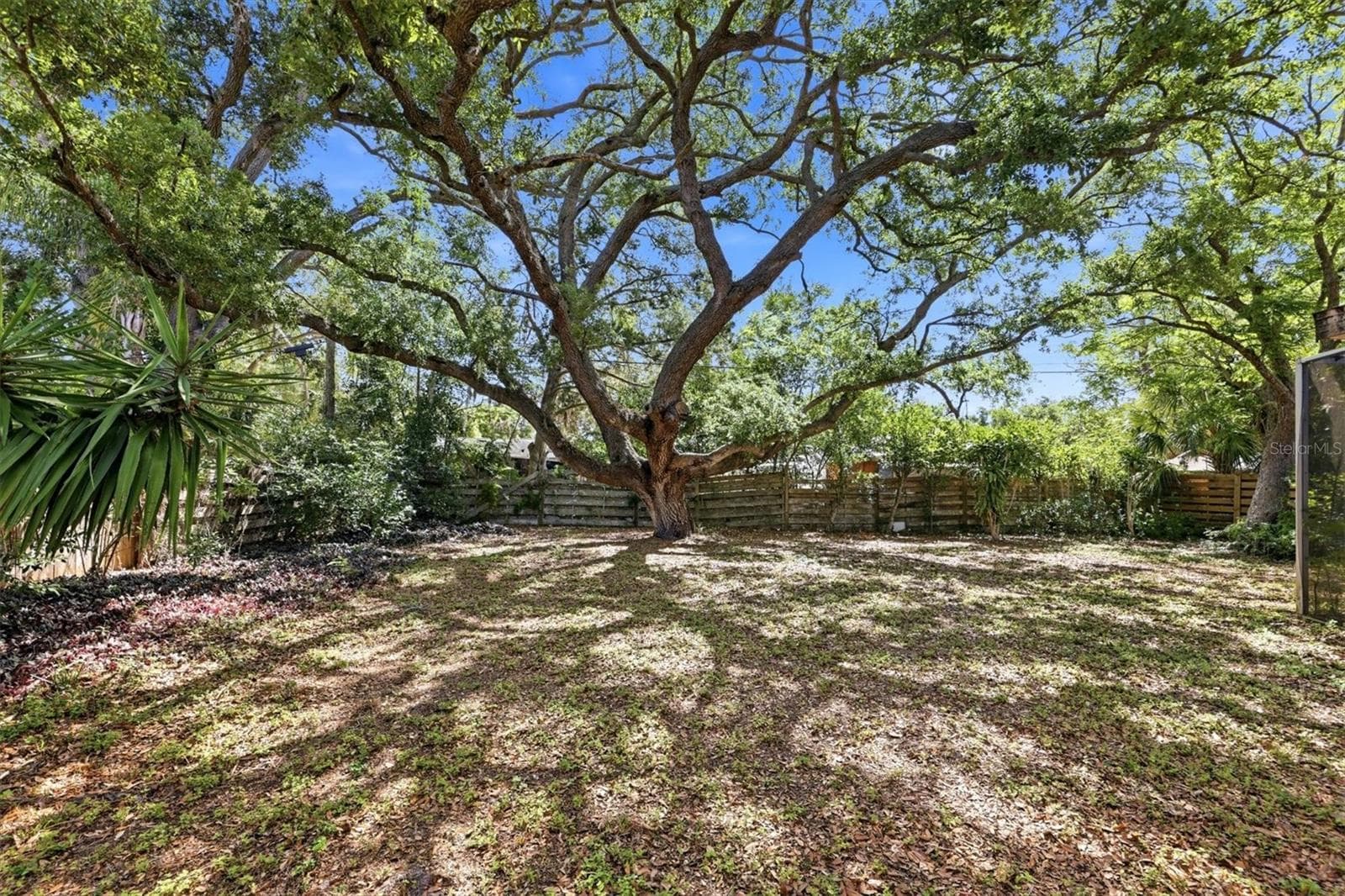 Private yard with lovely trees - 4003 BOOTH PL, SARASOTA