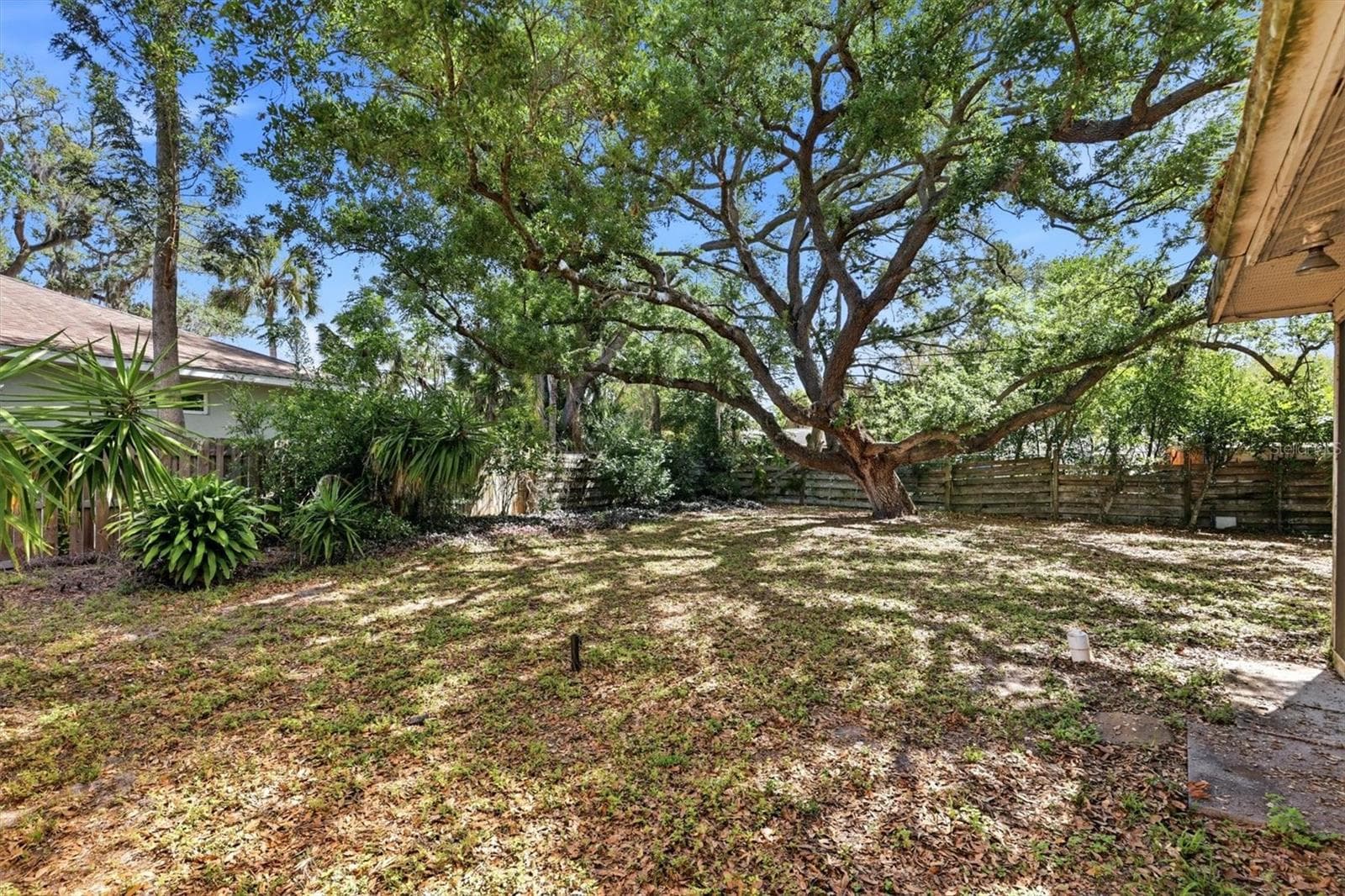 Plenty of space to create your dream outdoor living space - 4003 BOOTH PL, SARASOTA
