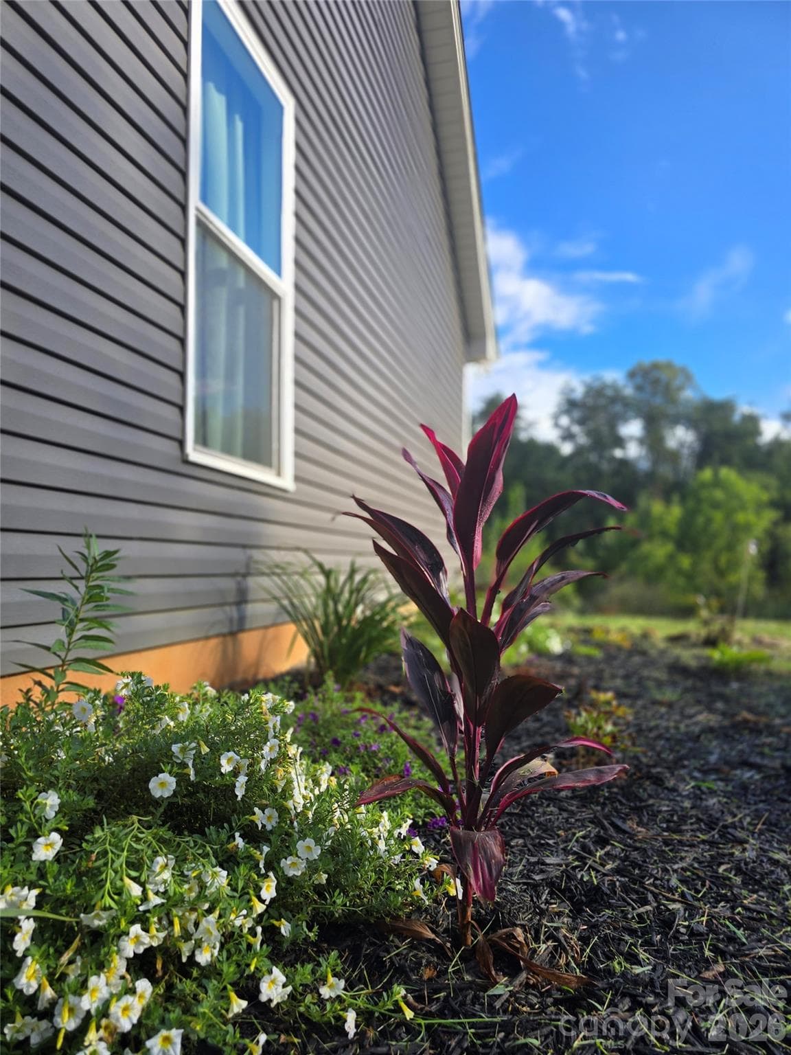 Single Family Residence at Weaverville, photo 2 of 48