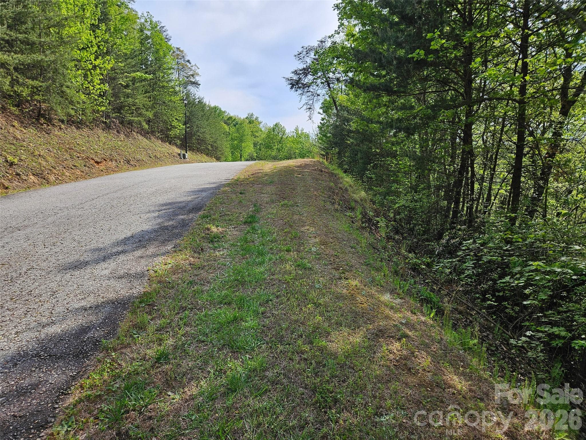 Lot at Lake Lure, photo 3 of 11