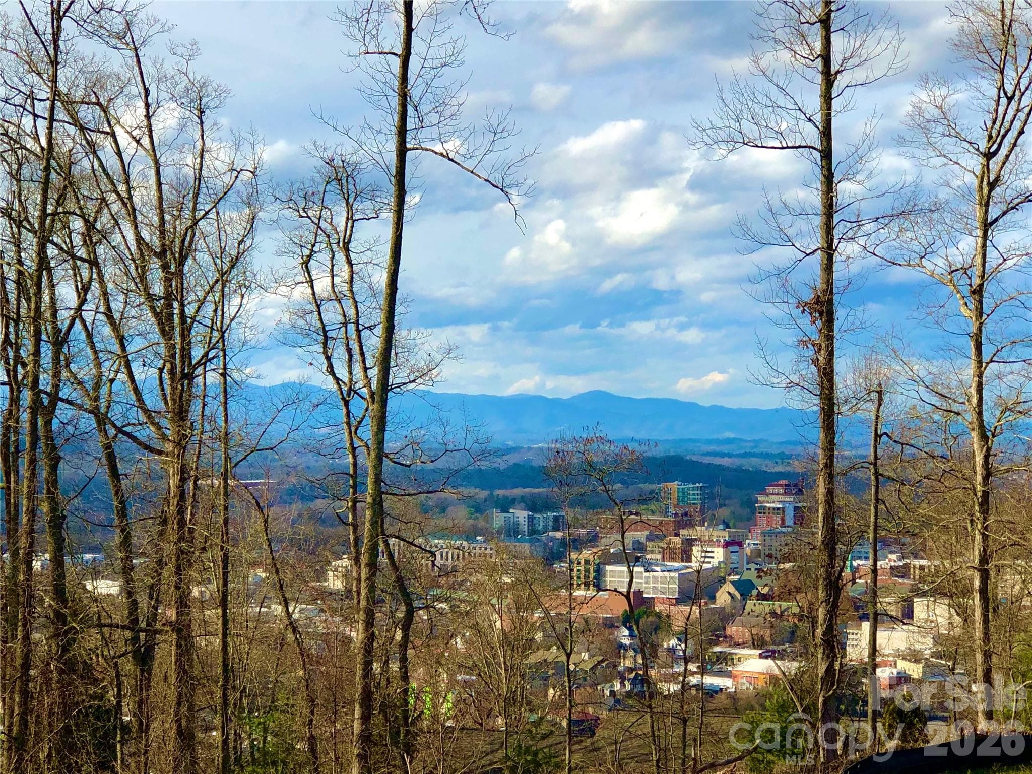 Winter view - Asheville