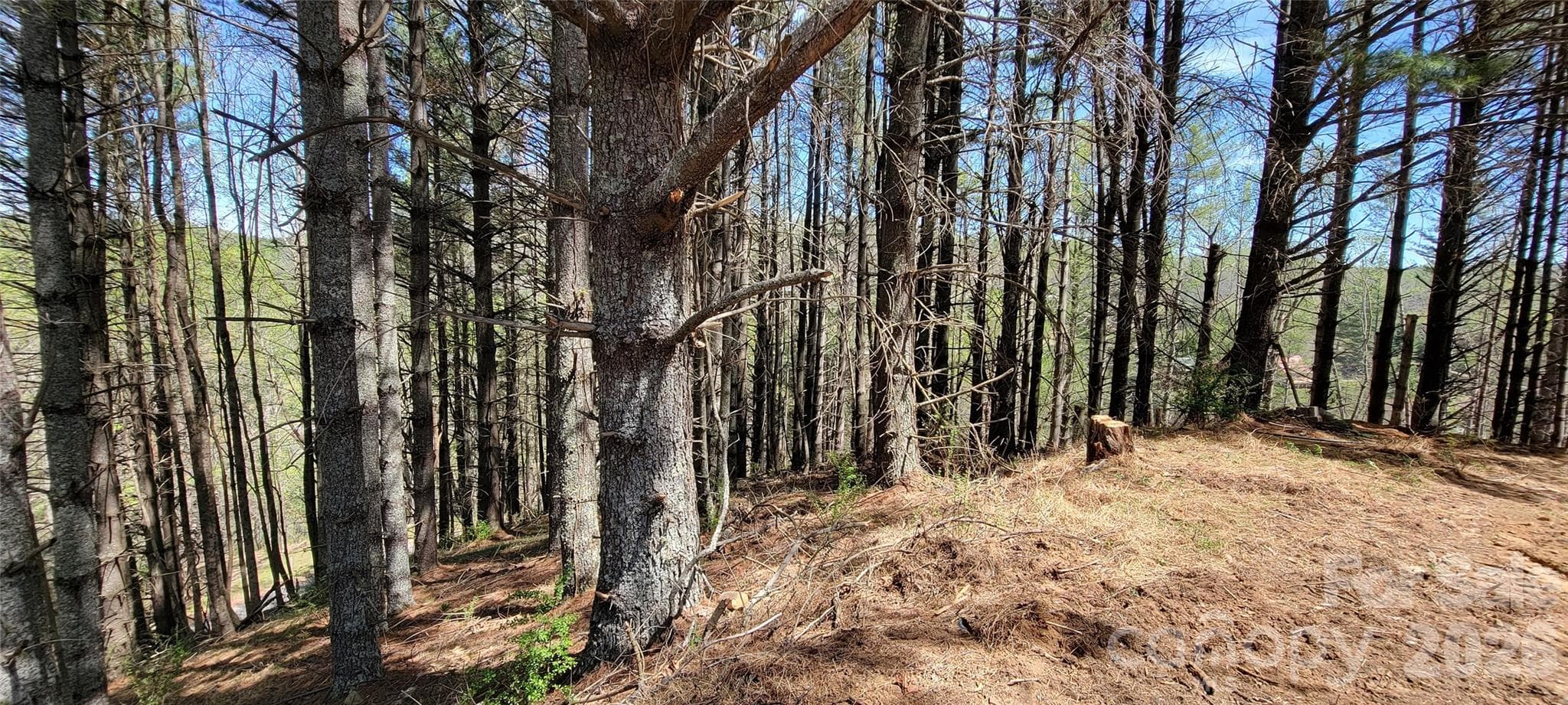 Lot at TBD (Lots 25/26/27) Miriam Way, Piney Creek, photo 7 of 29