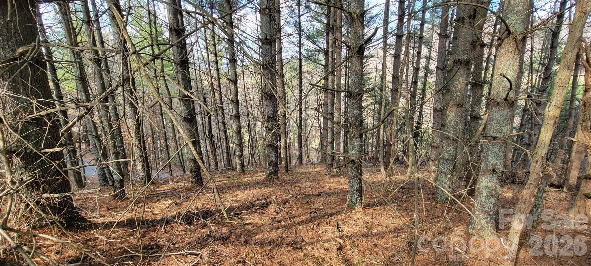 Lot at TBD (Lots 25/26/27) Miriam Way, Piney Creek, photo 9 of 29