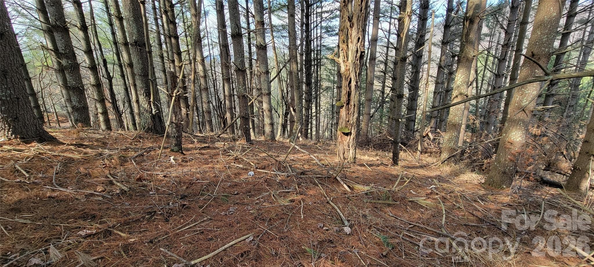 Potential Building Area - TBD (Lots 25/26/27) Miriam Way, Piney Creek