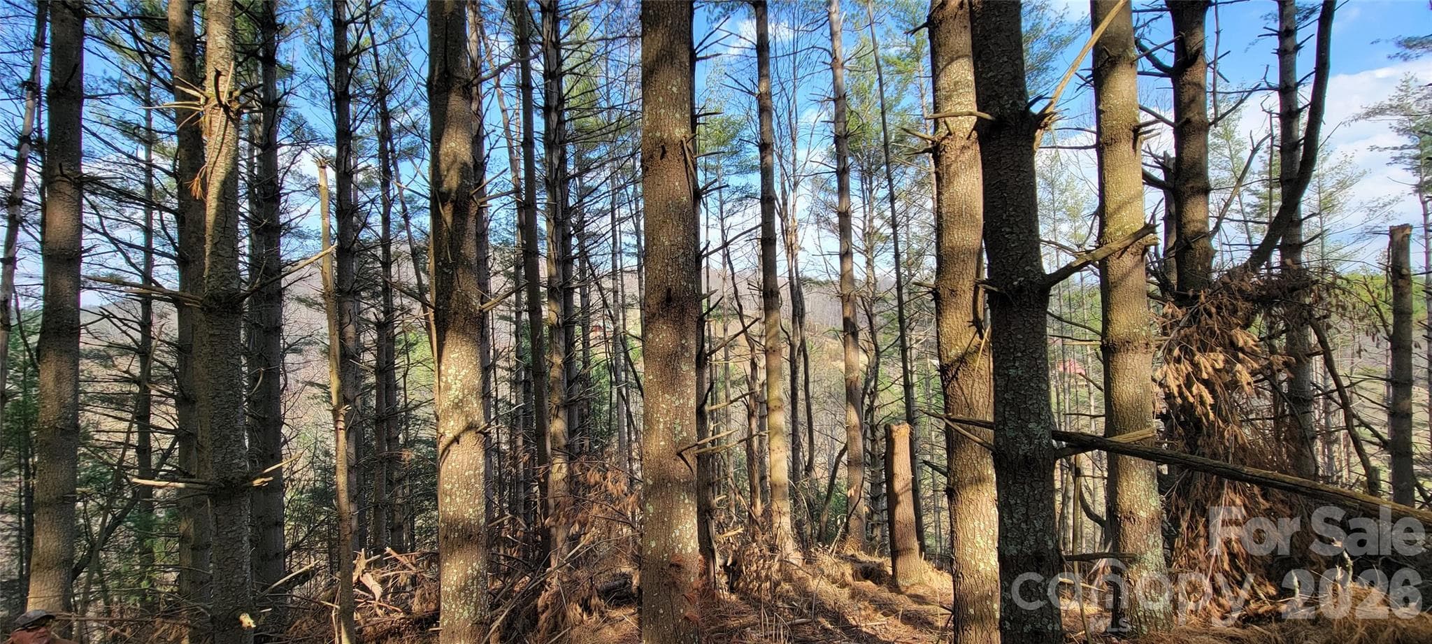 Potential Views - TBD (Lots 25/26/27) Miriam Way, Piney Creek