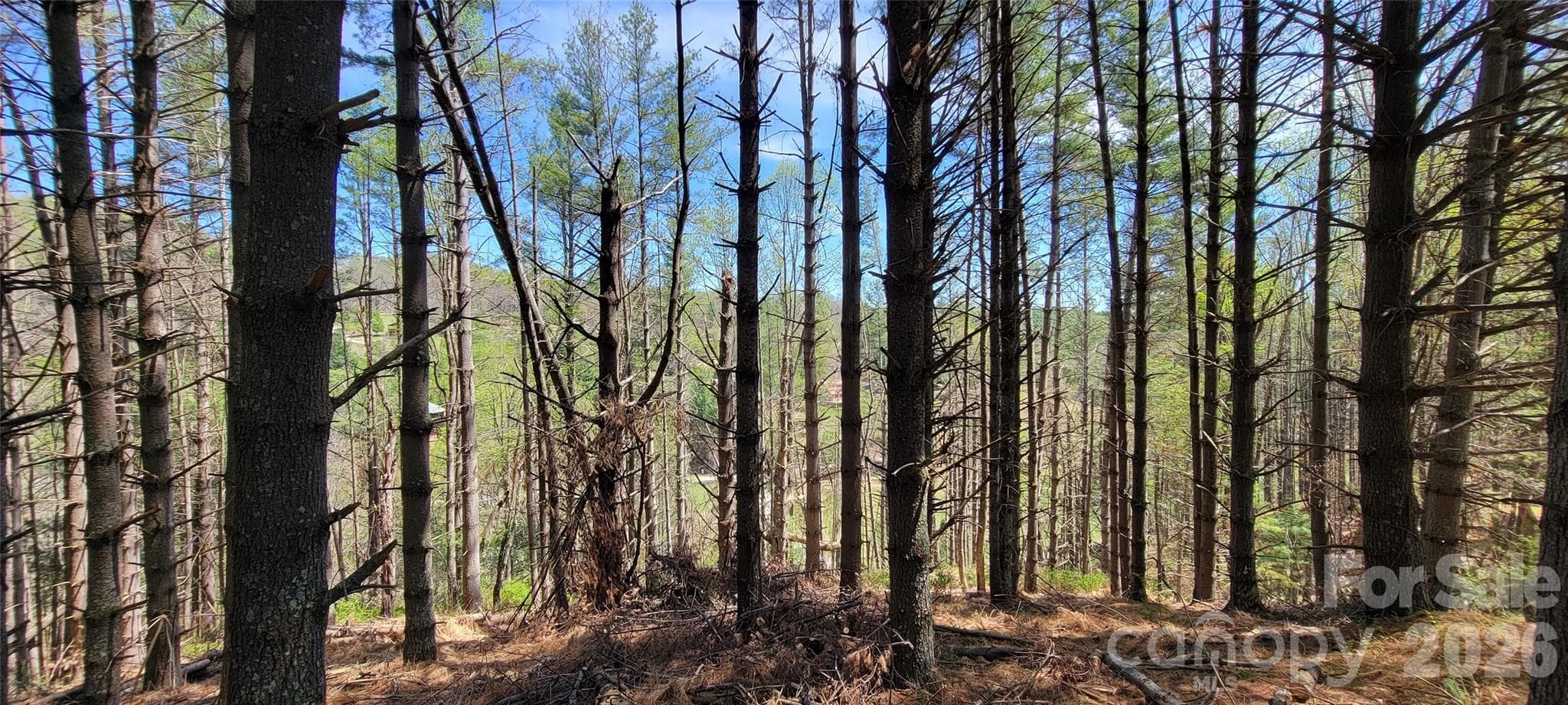 Lot at TBD (Lots 25/26/27) Miriam Way, Piney Creek, photo 14 of 29