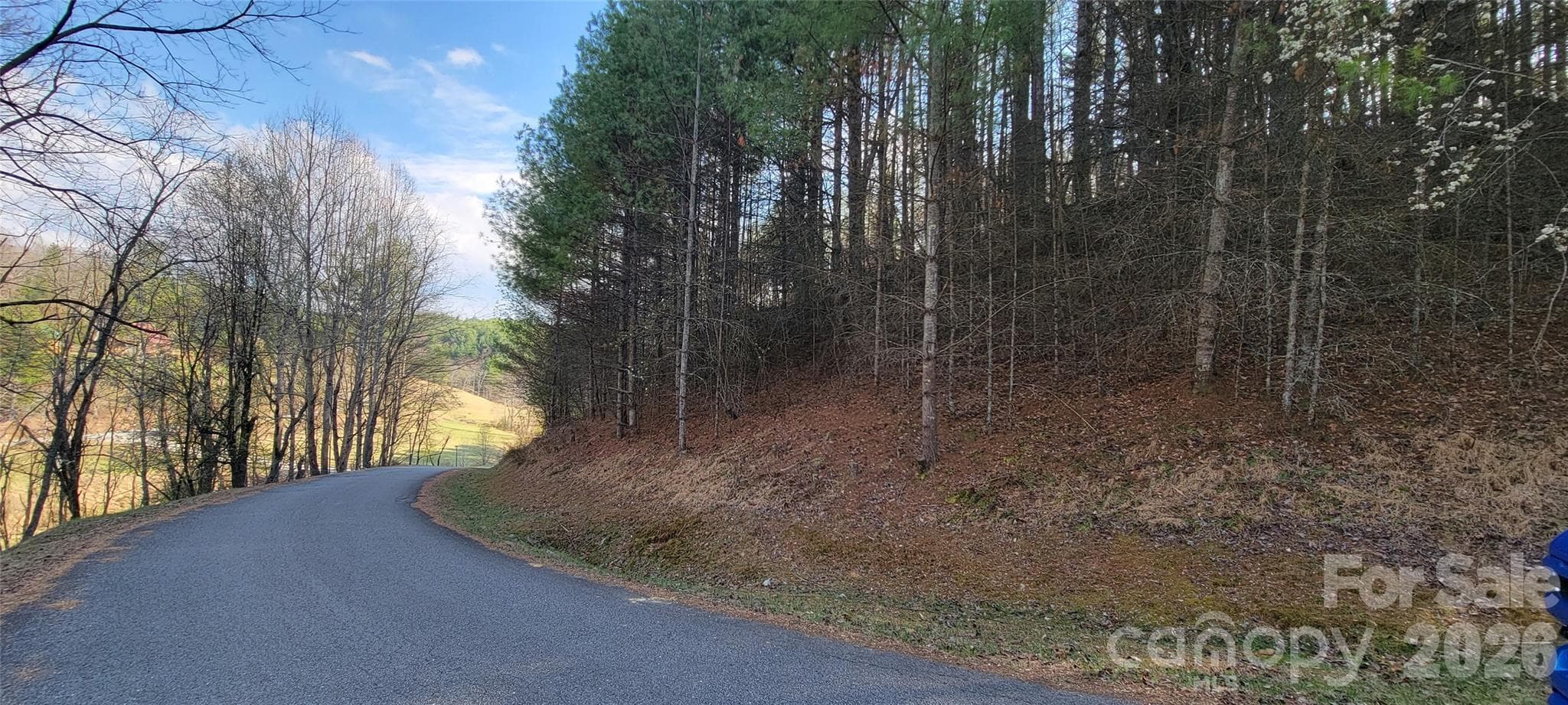 Property on Right - TBD (Lots 25/26/27) Miriam Way, Piney Creek