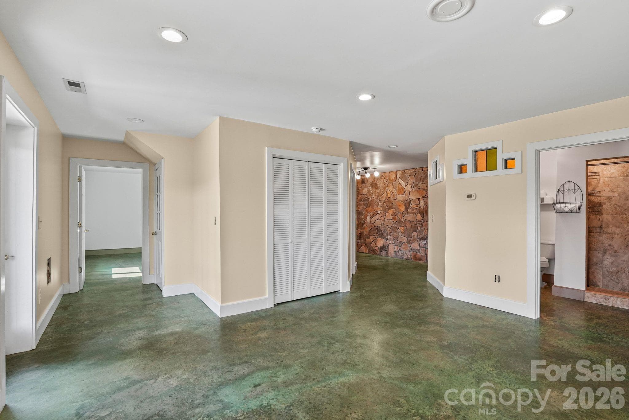 Basement family room has plenty of closet/storage space - 310 Burr Ridge, Marshall