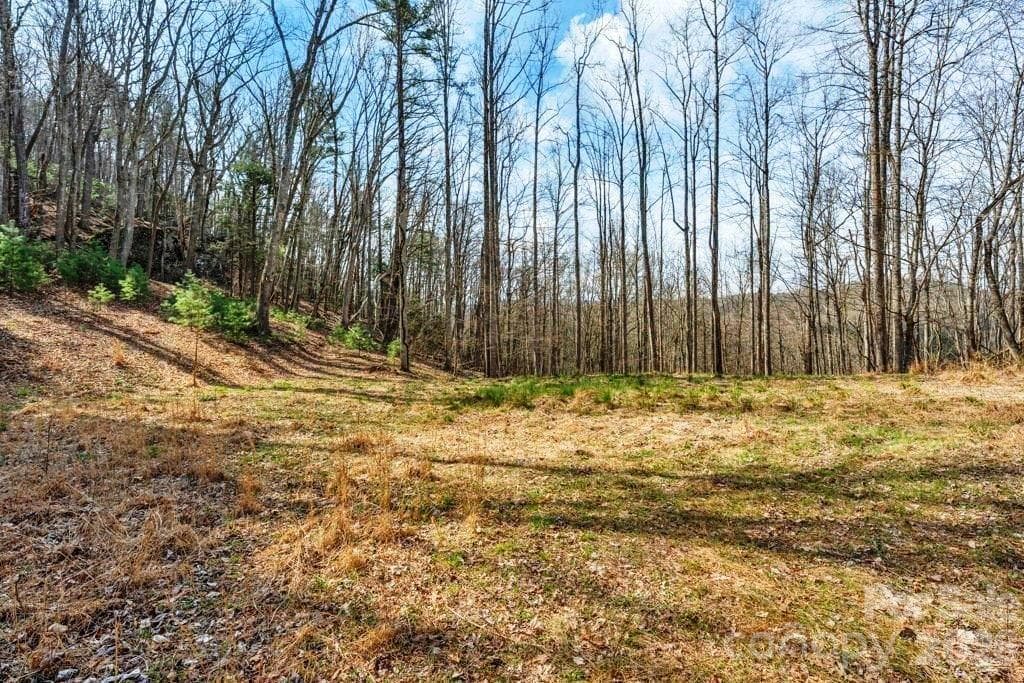 Acreage at tbd Denney Wood Road, Sugar Grove, photo 3 of 21