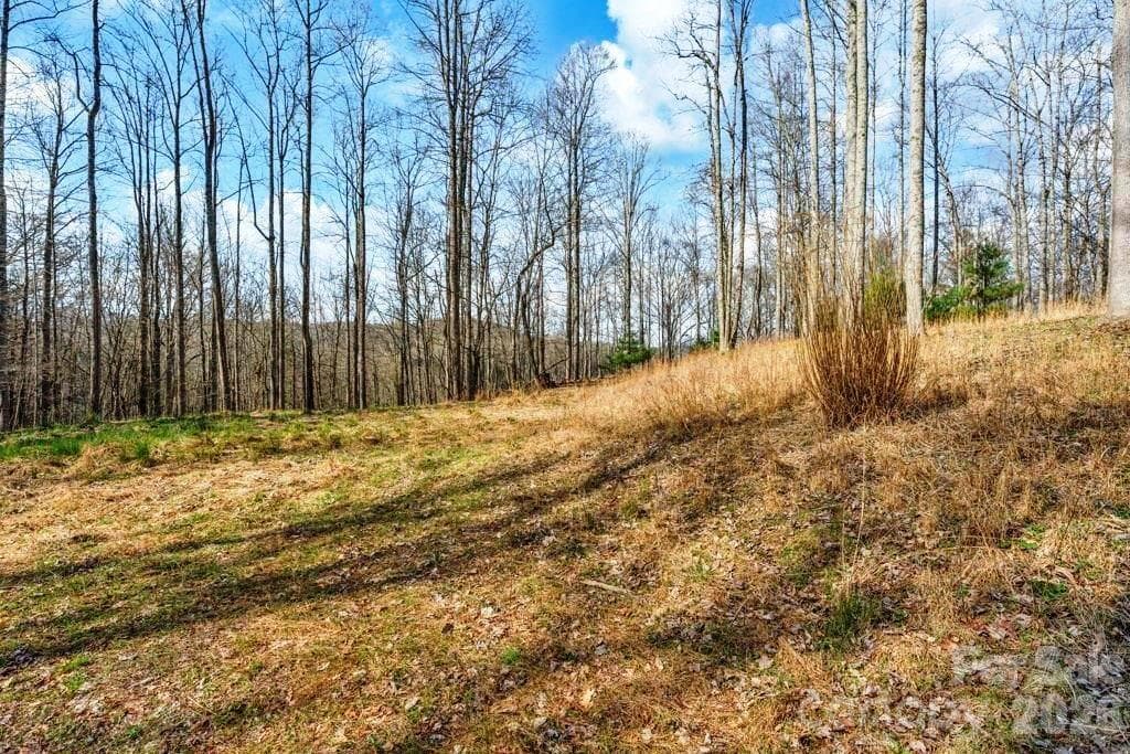 Acreage at tbd Denney Wood Road, Sugar Grove, photo 4 of 21