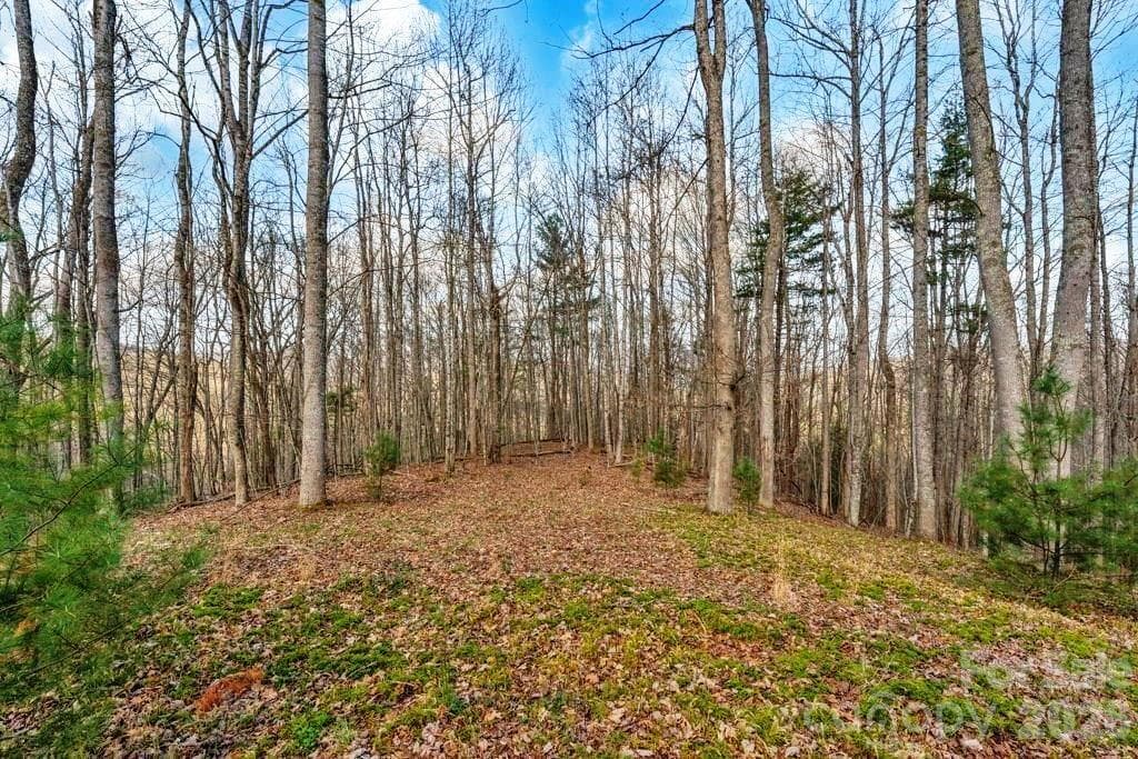 Acreage at tbd Denney Wood Road, Sugar Grove, photo 8 of 21