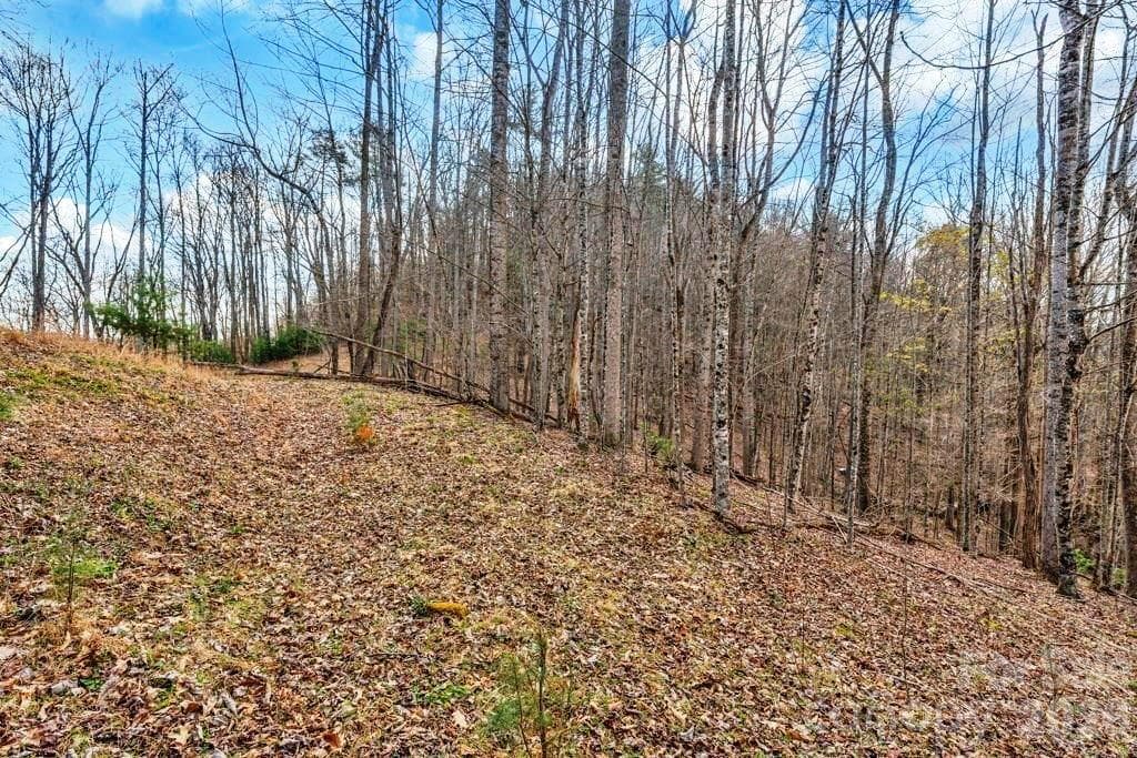 Acreage at tbd Denney Wood Road, Sugar Grove, photo 9 of 21